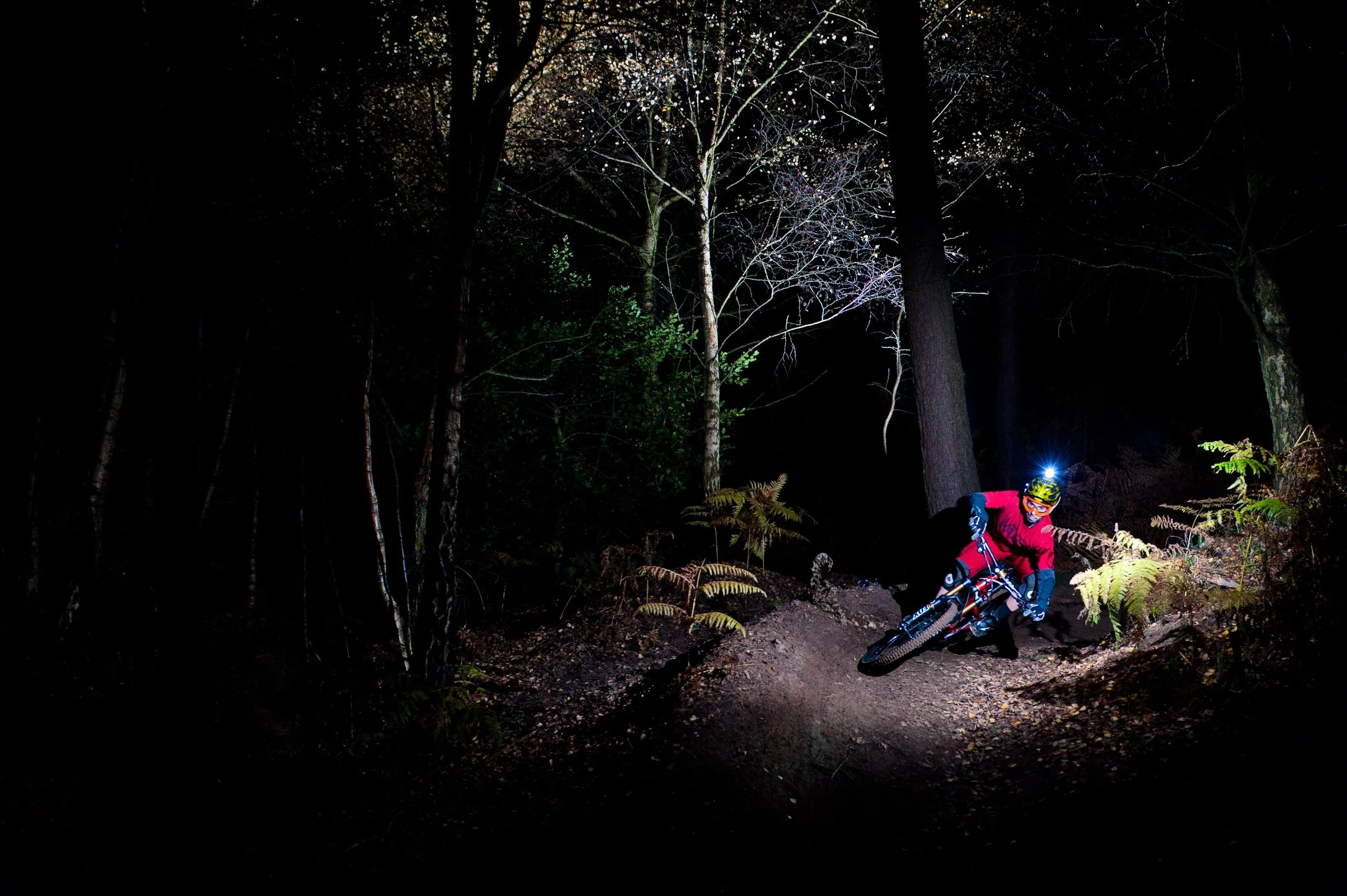 Night shred