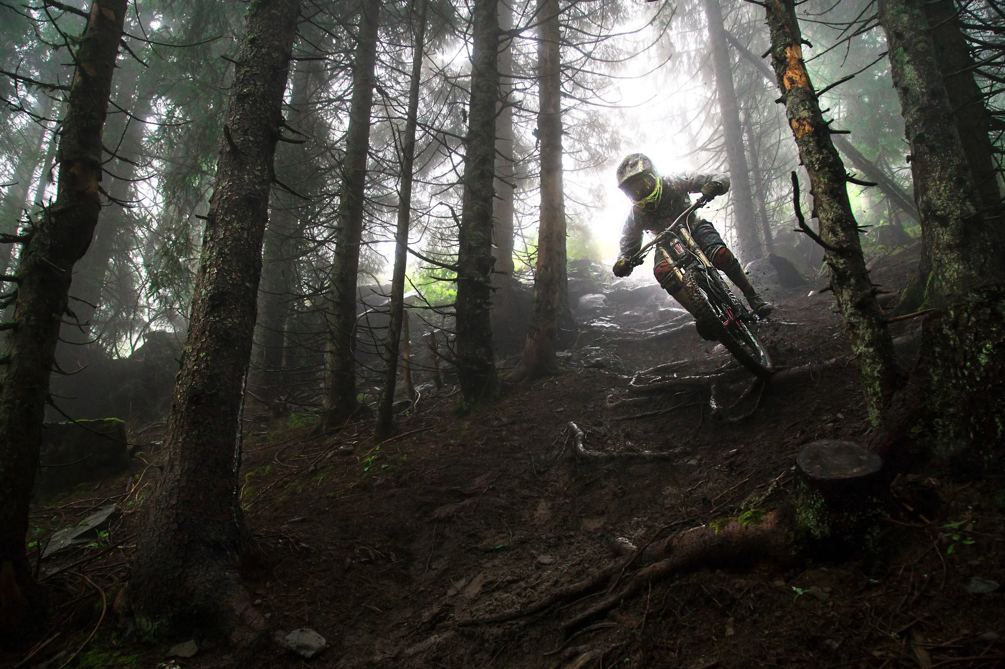 Riding Out The Fog
