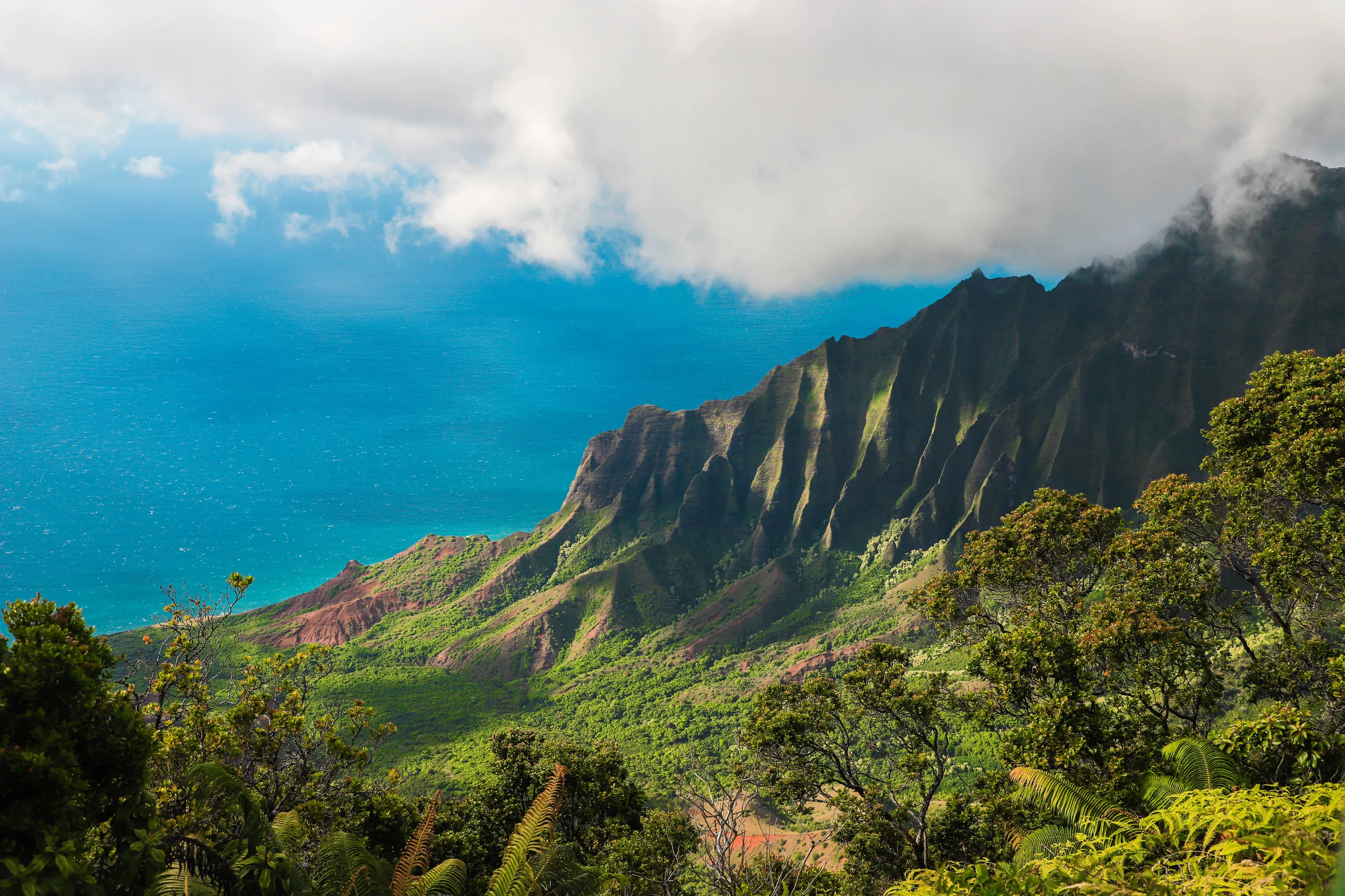 Kauai Coast