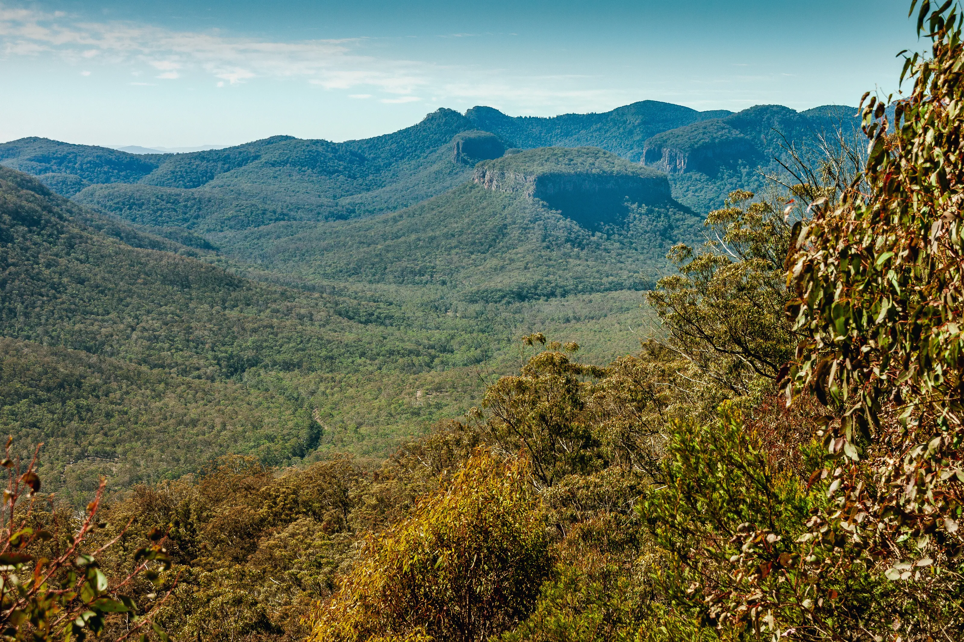 View Up The Valley