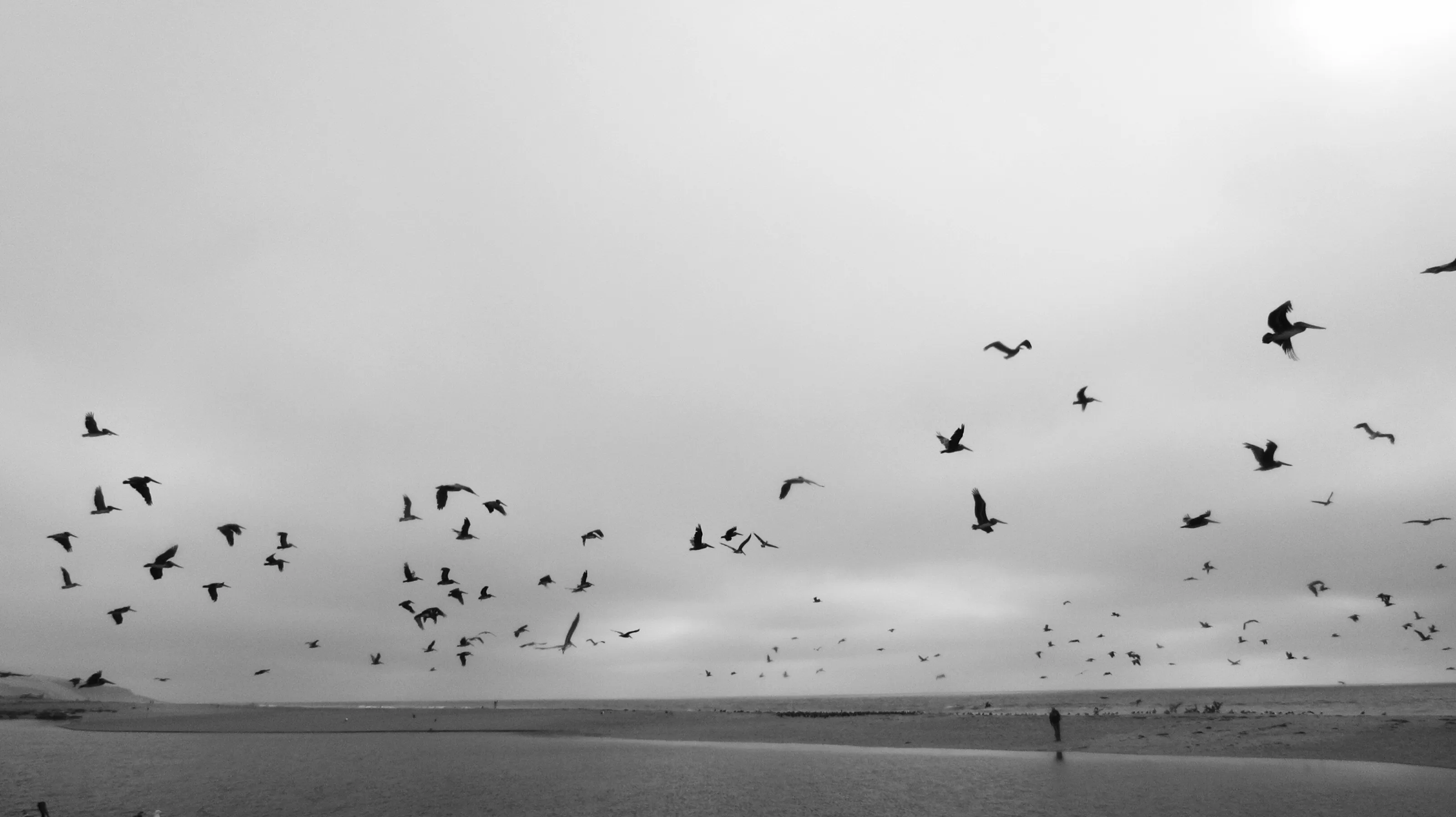 In the Sky