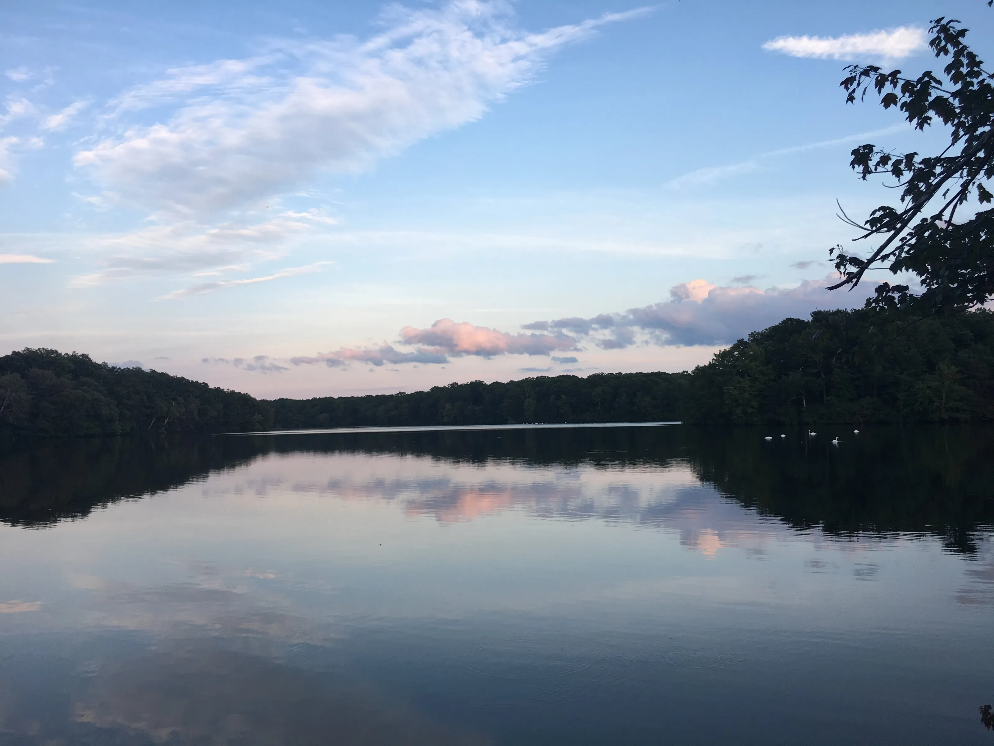 Reflective Lake