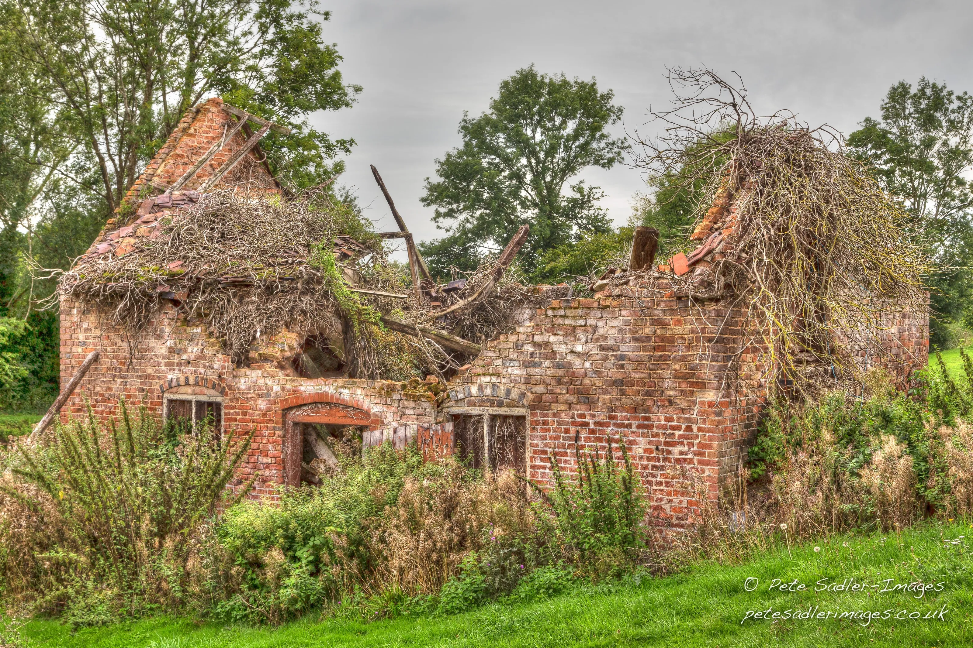 The Old Farm
