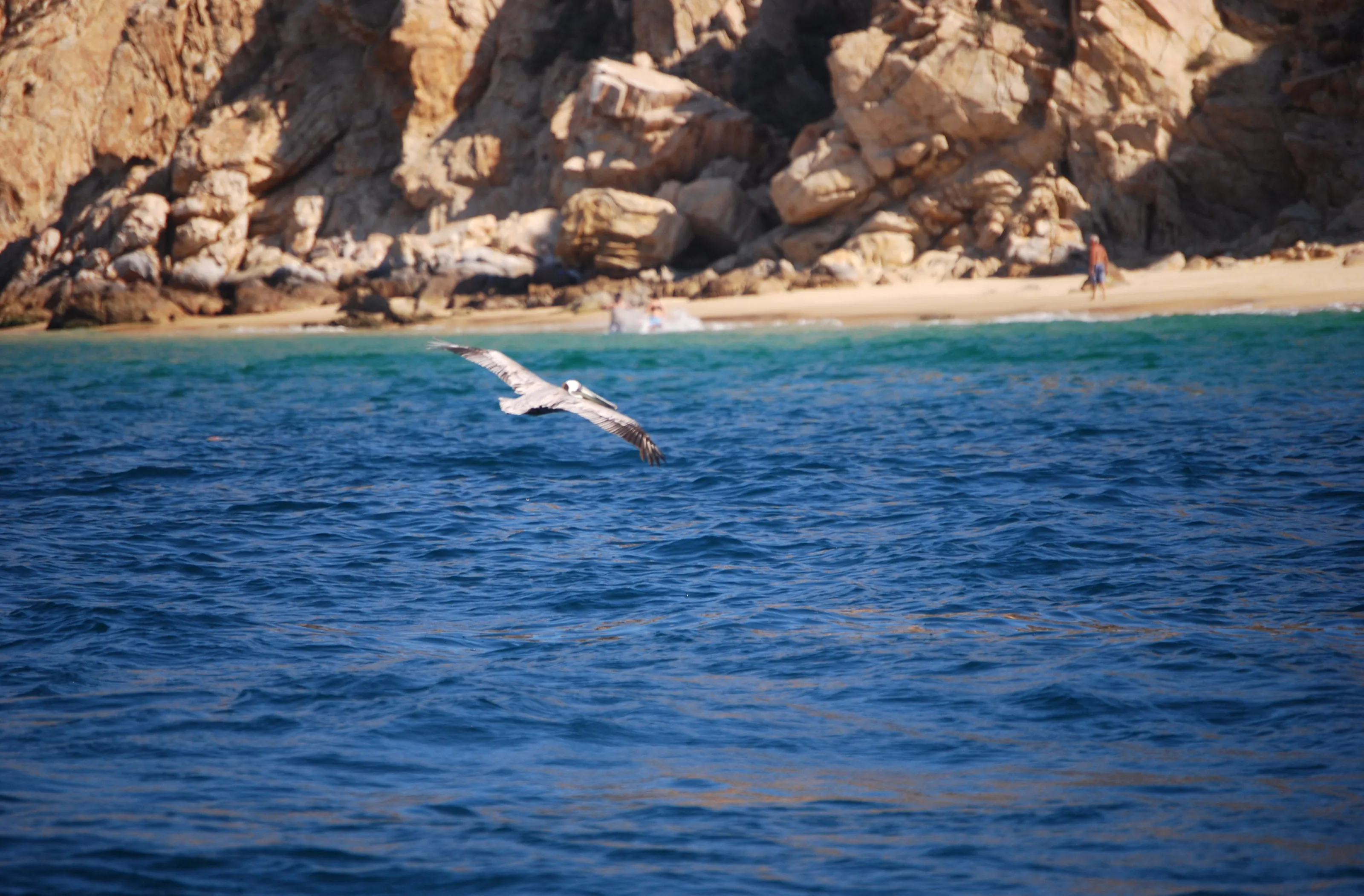 Soaring