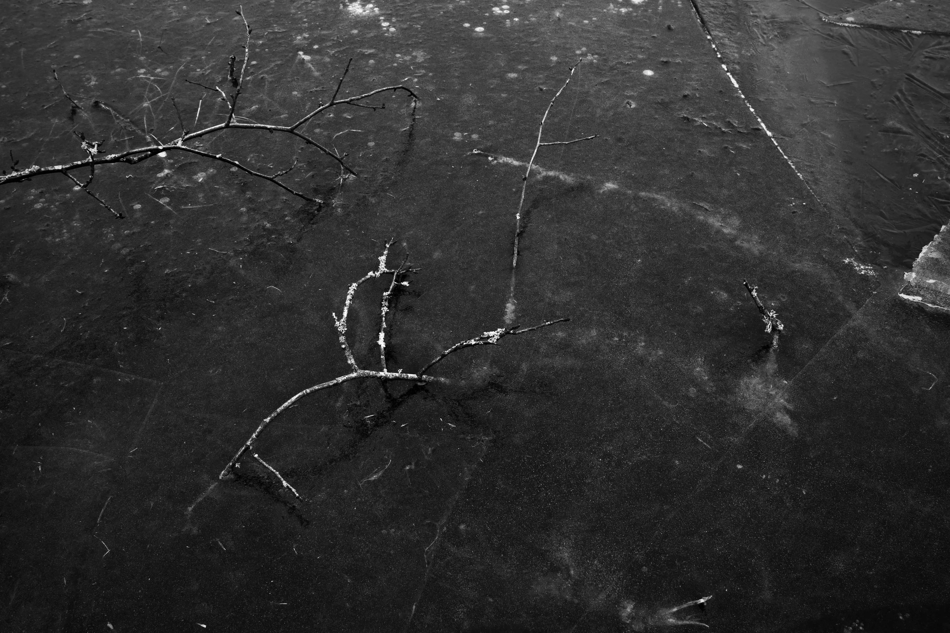 Frozen Puddle