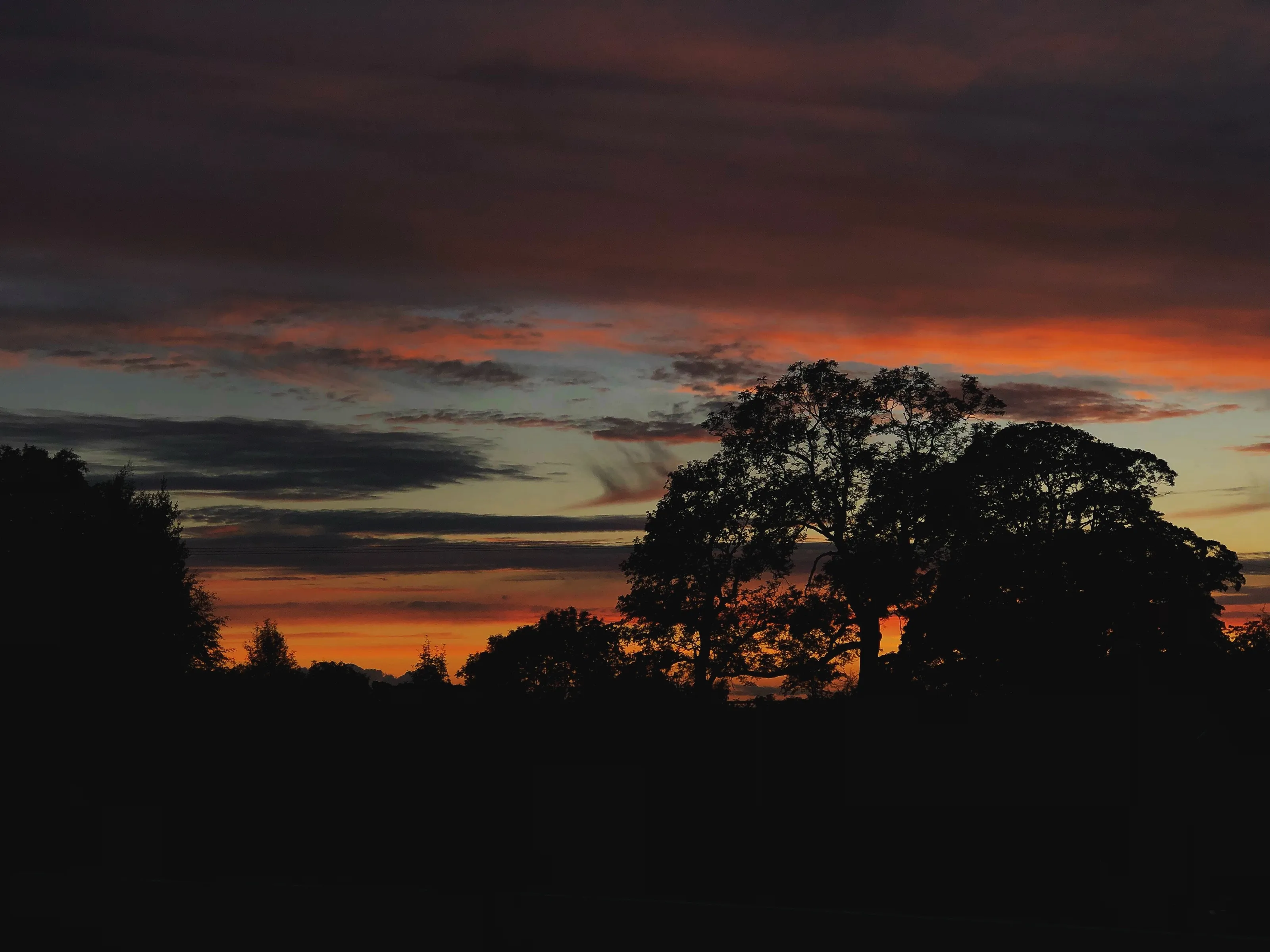 Dusky nights🌅