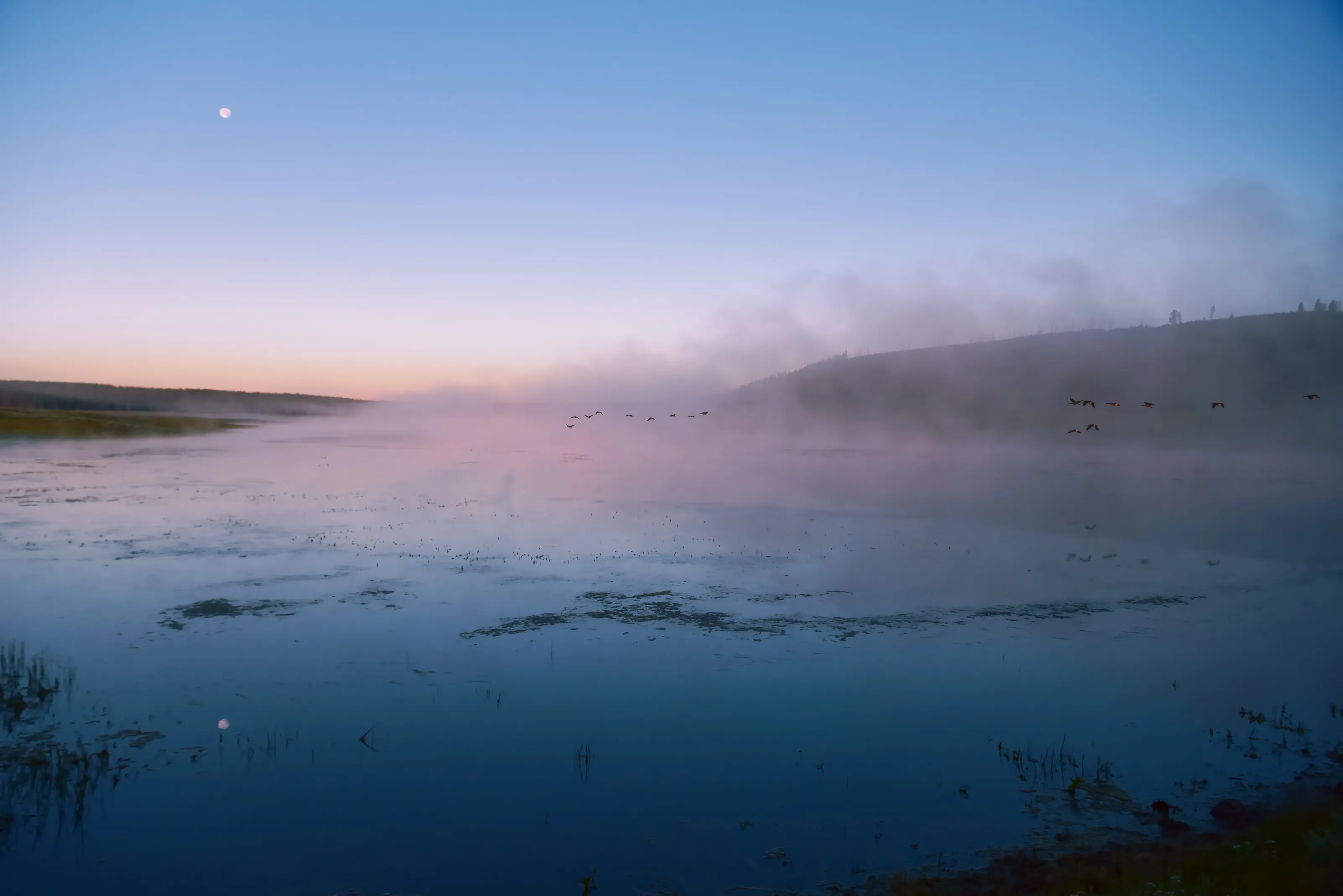 Alum Creek, Yellowstone National Park