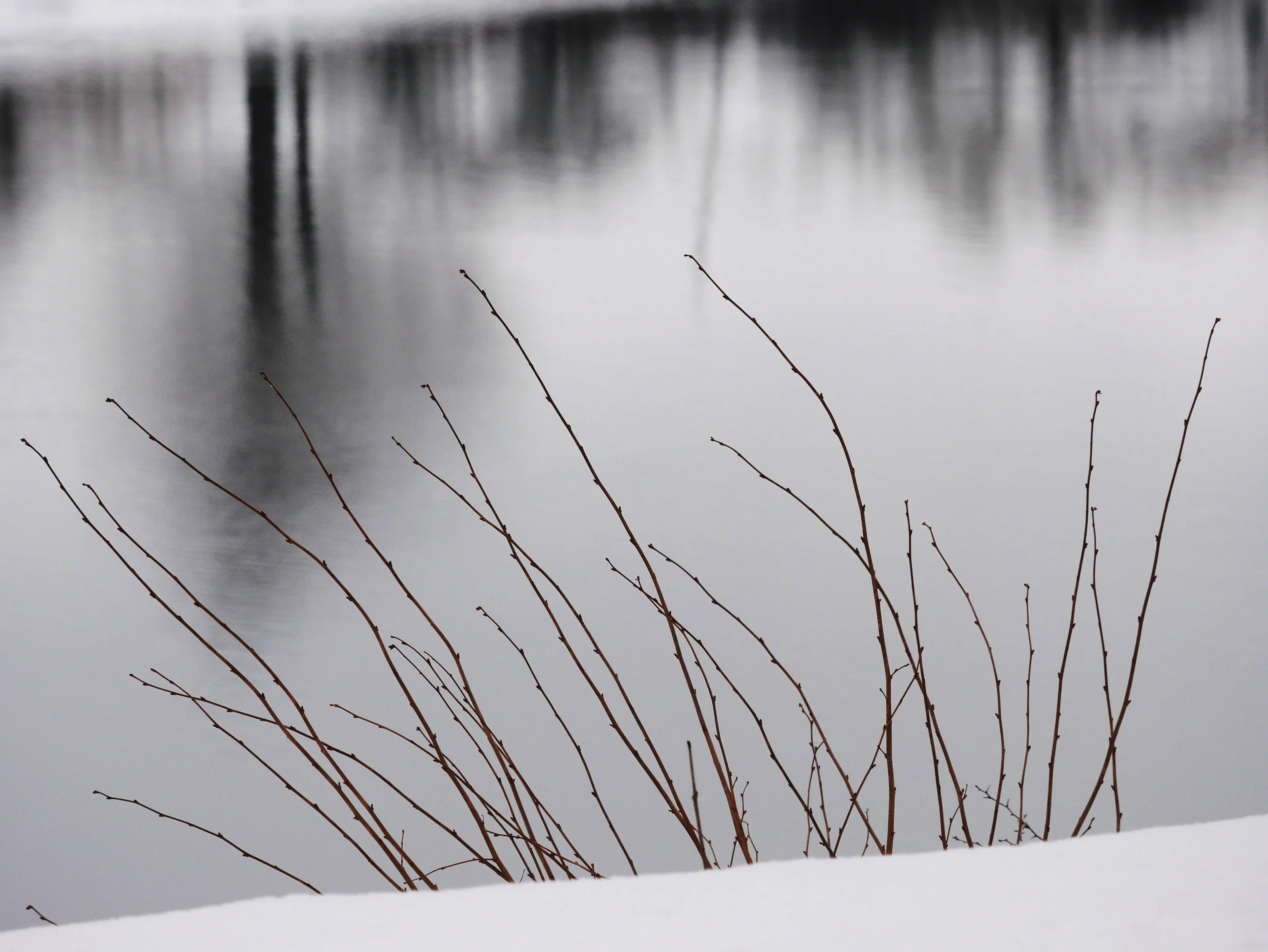 Silence