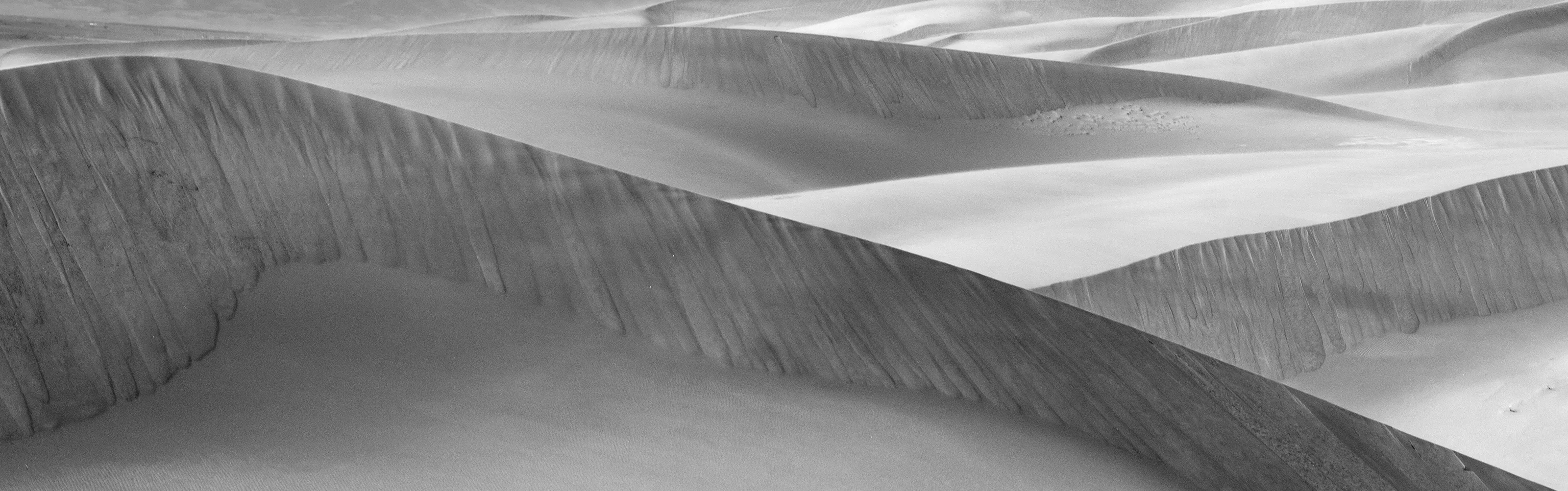 Dune Forms