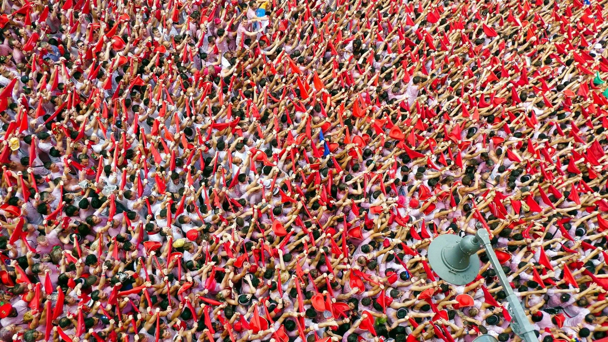 Entry 2713661