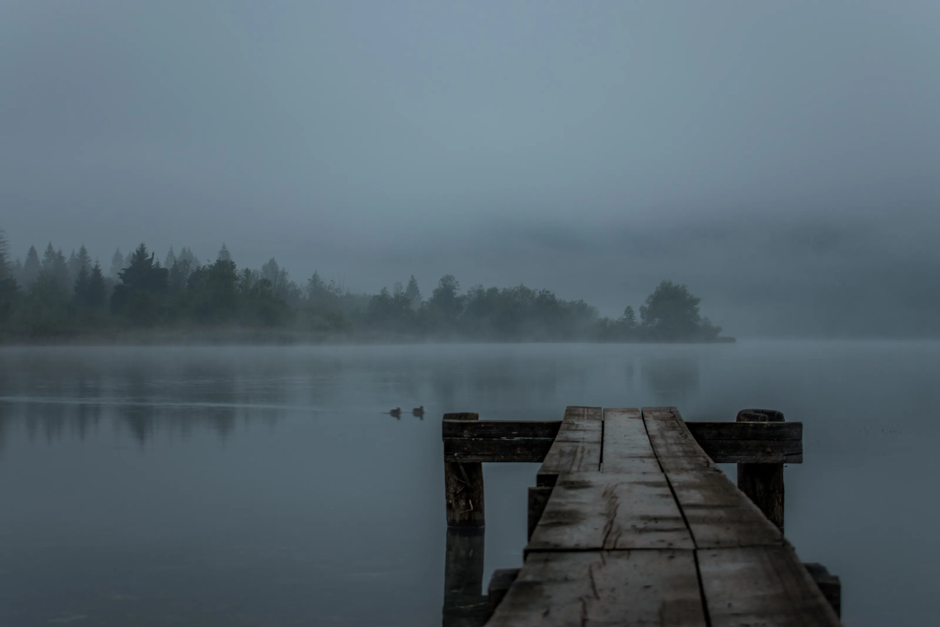 Bohinj lake's morning mist