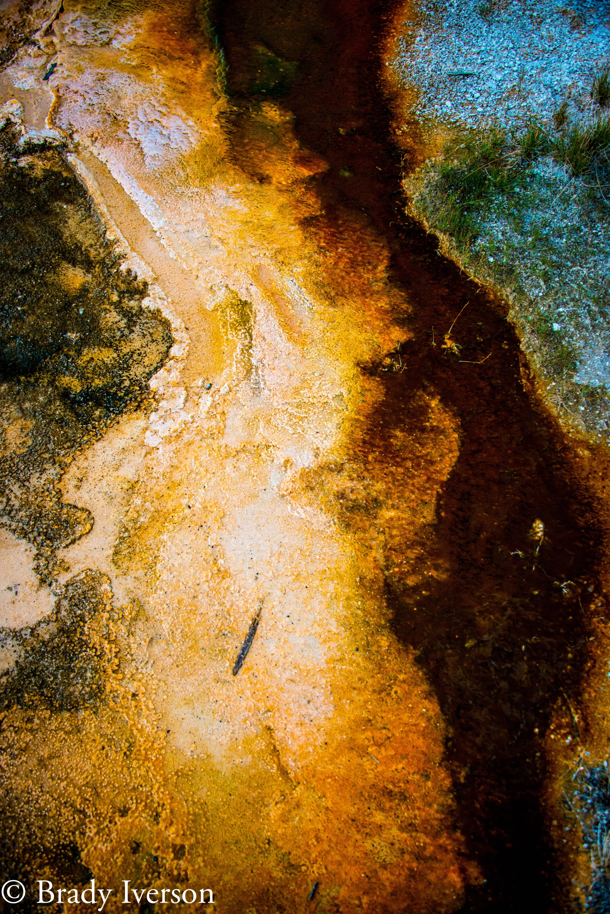 Thermophile Bacterial Beds at Yellowstone National Park.