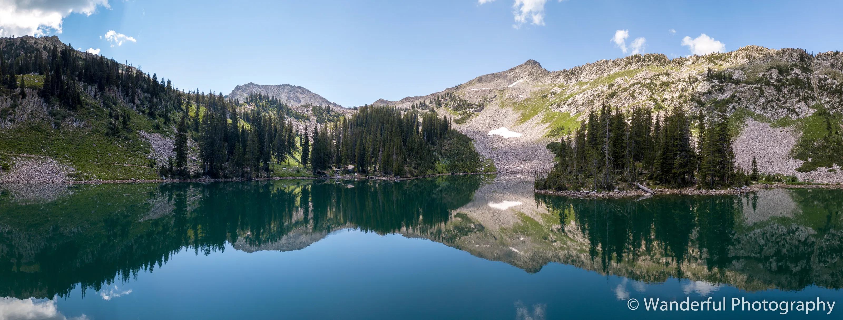 Red Pine Reflection