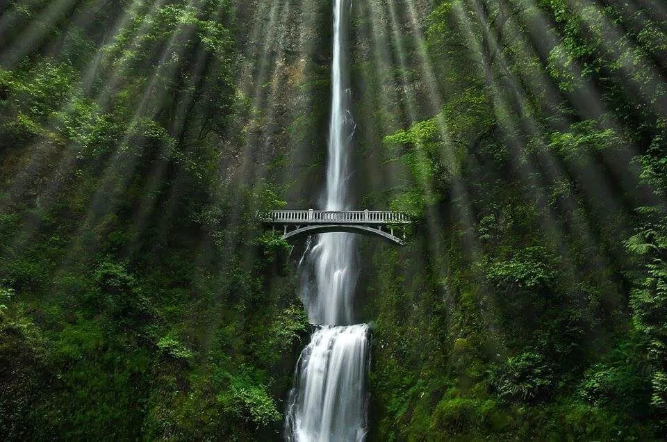 Multnomah falls Oregon