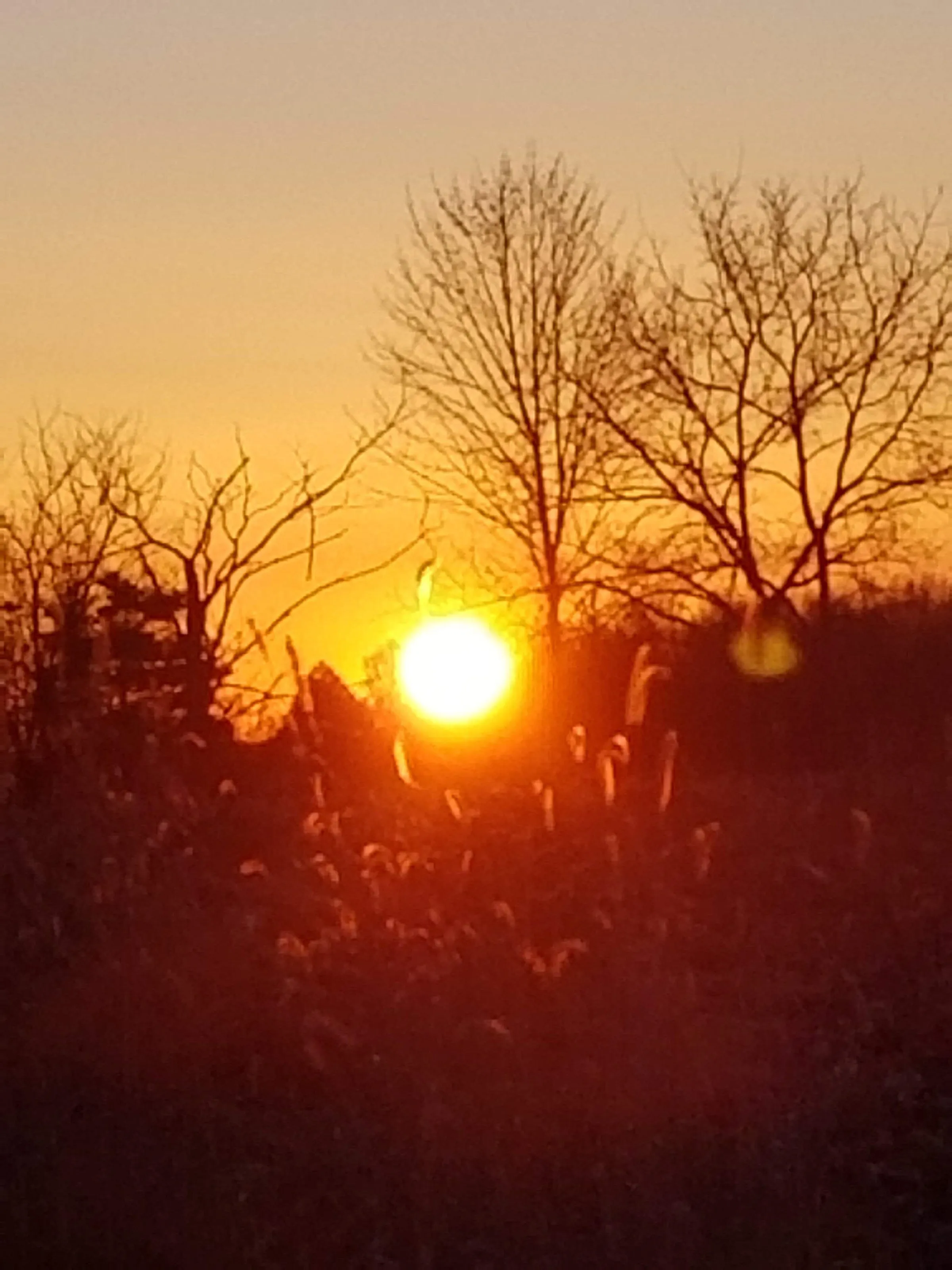 Sunrise Over The Fields