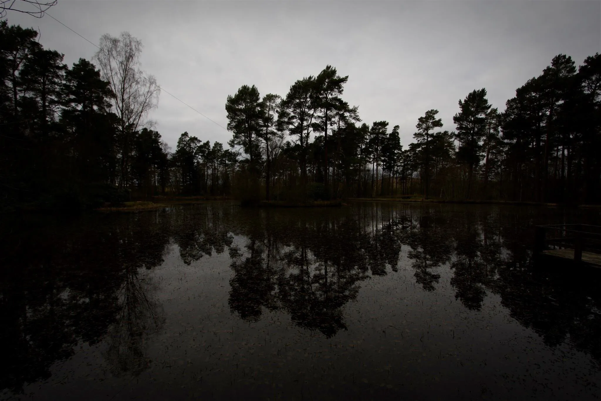 Wooden reflections