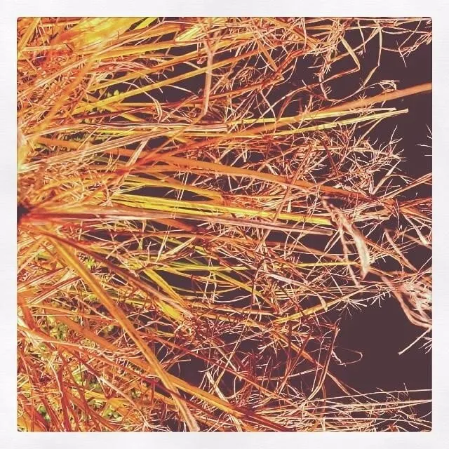 Firestarter