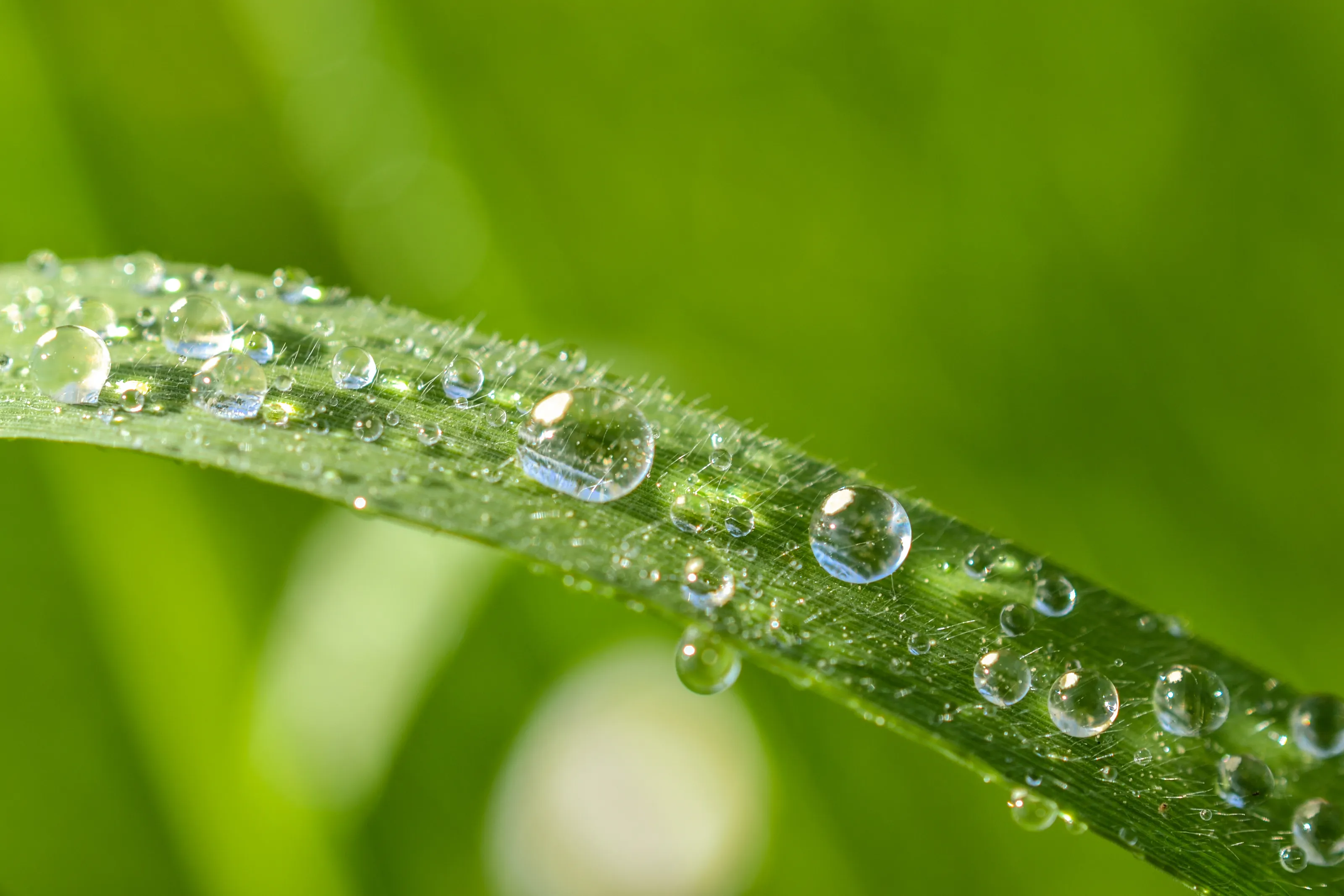 After rain