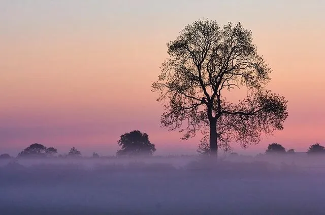 Early morning in England