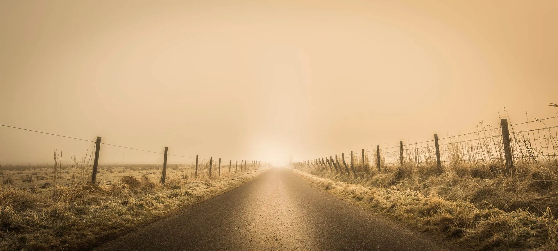 In to the light