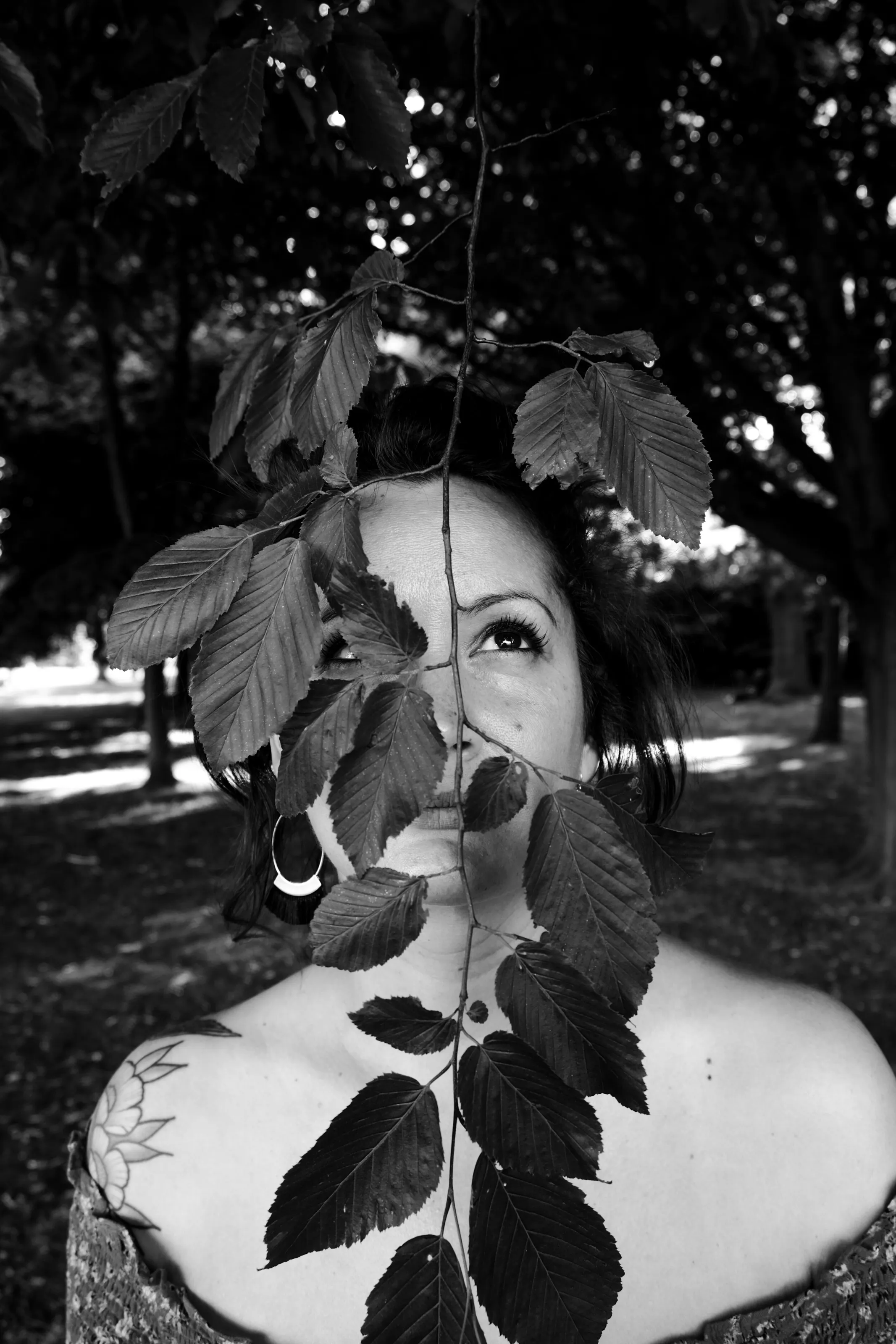 Behind the leaves