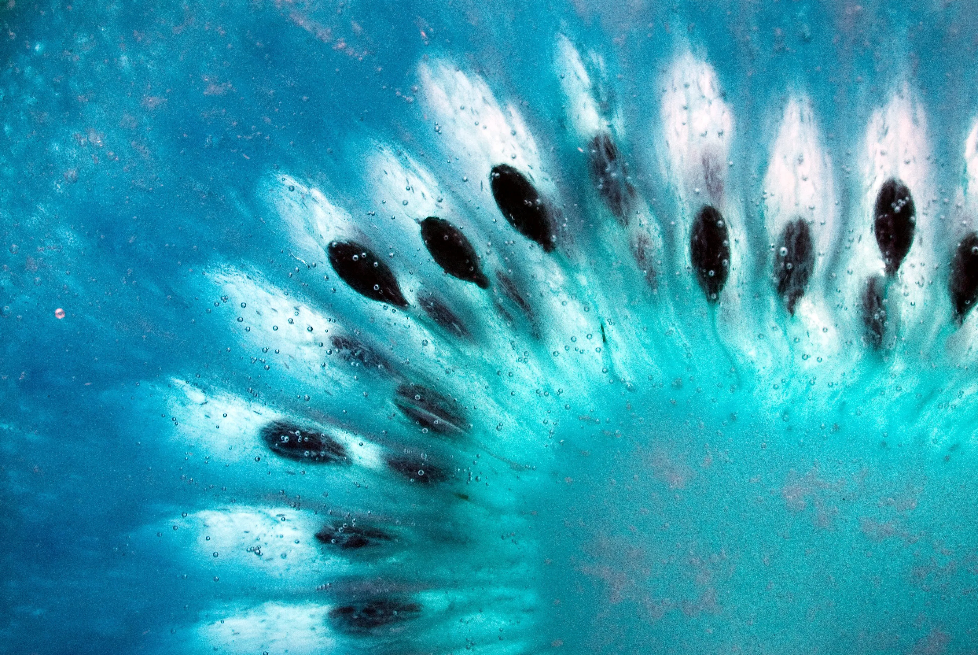 Splash of Blue