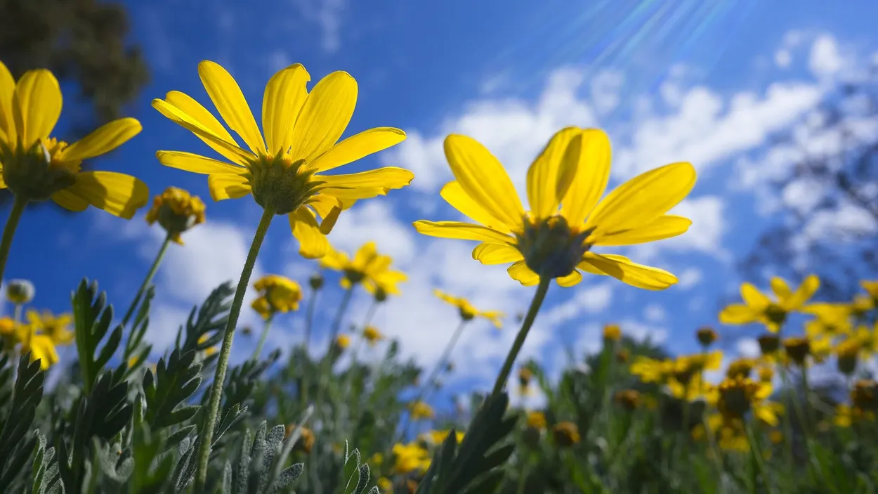Entry 7346797