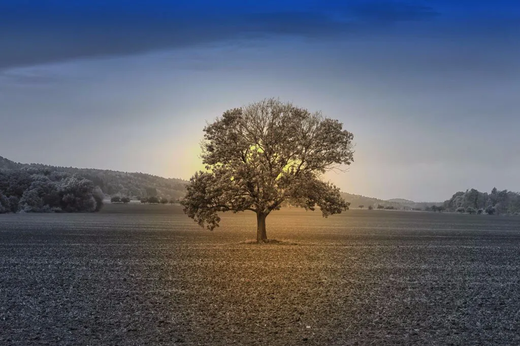 Hope