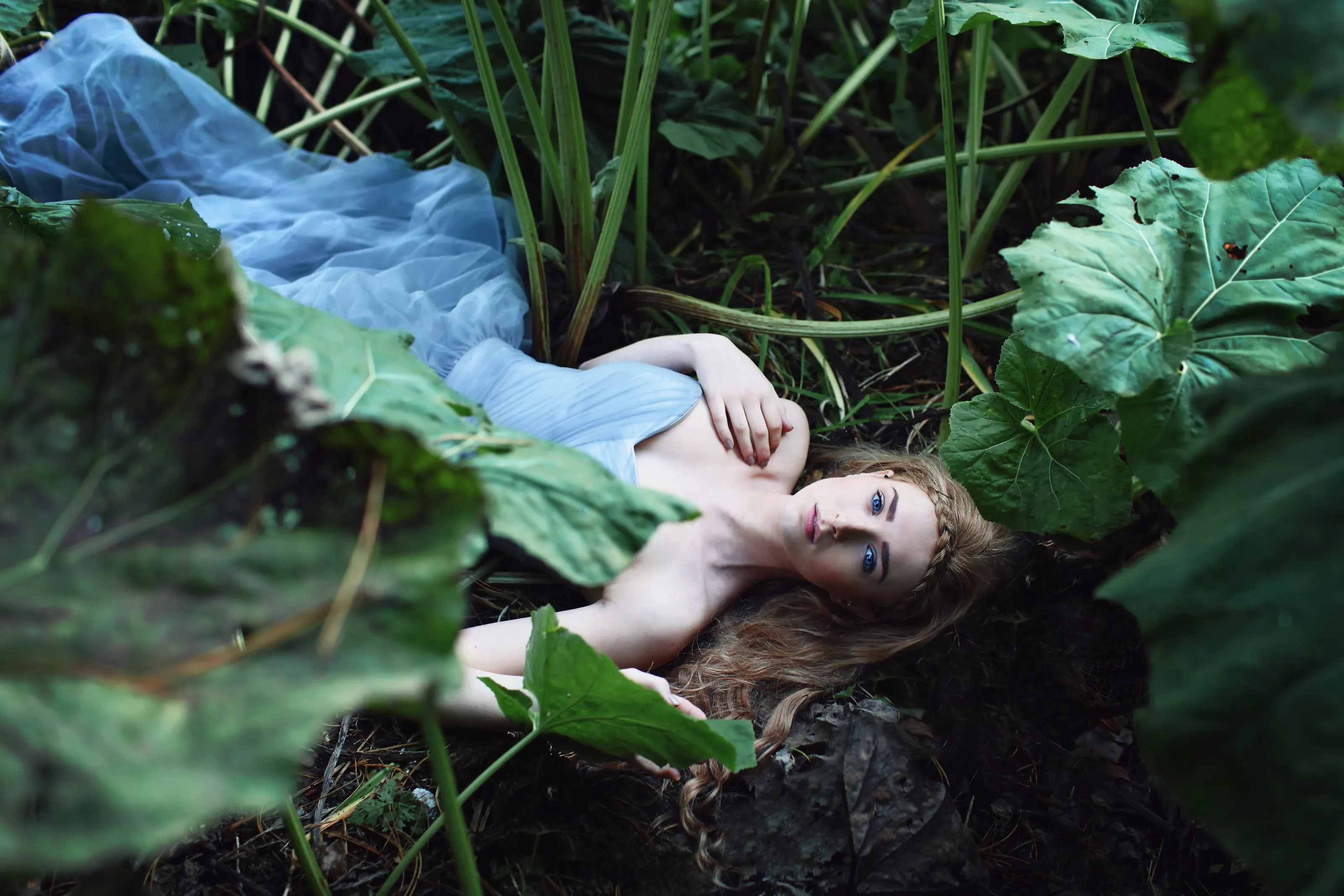 Down the Rabbit Hole