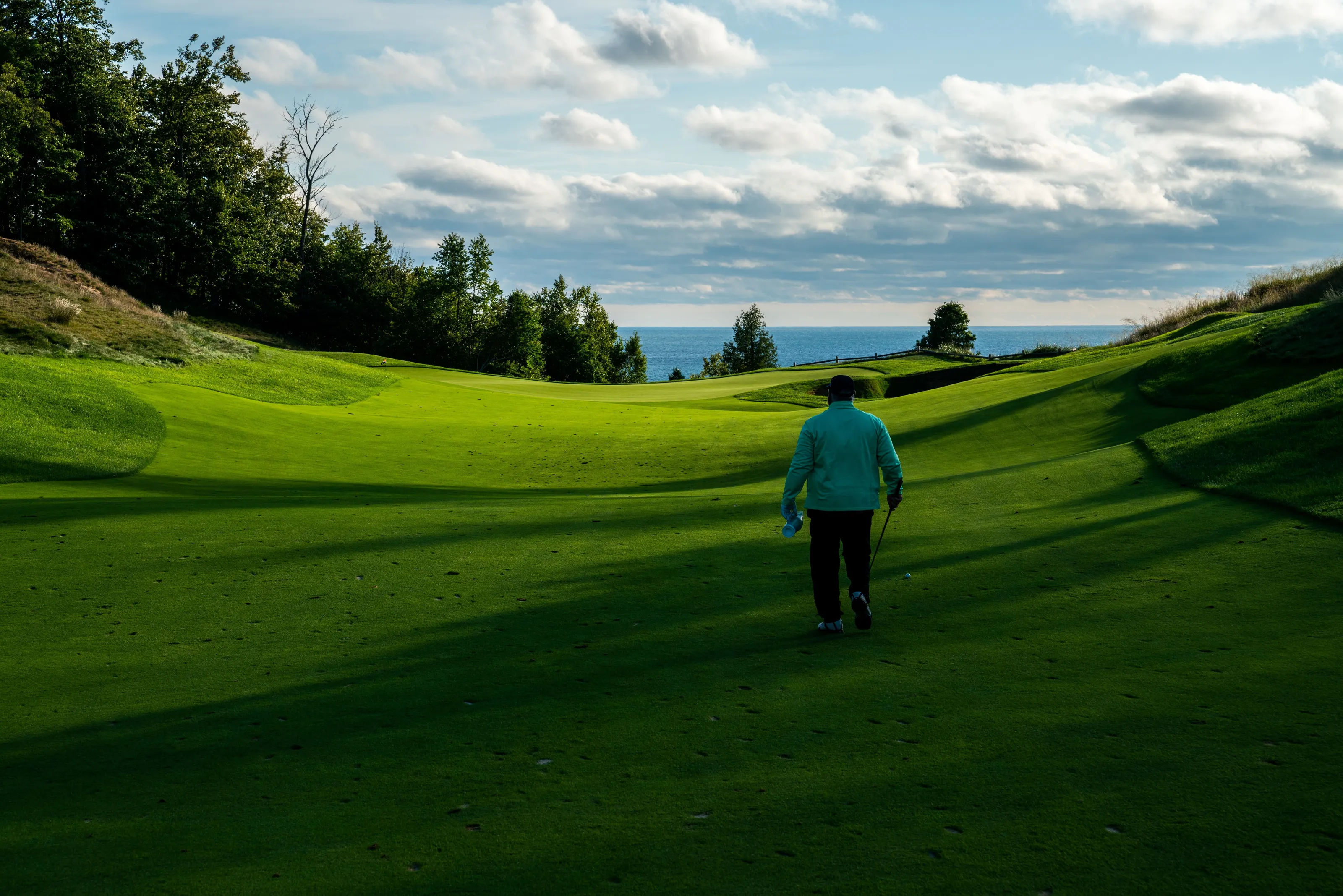 Divot Repairer