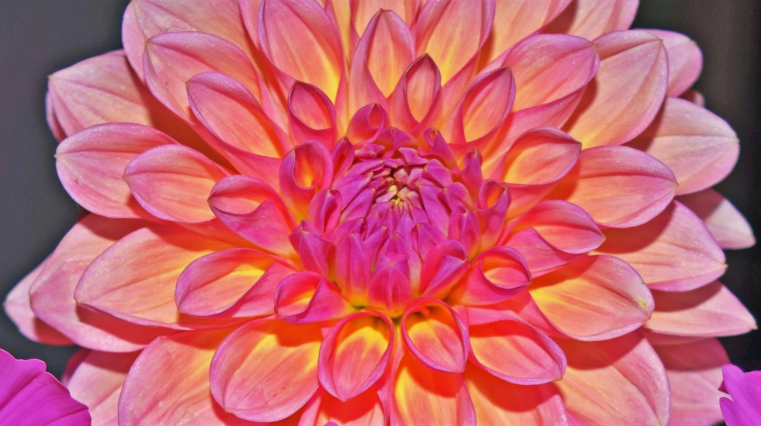 The Beauty of Nature