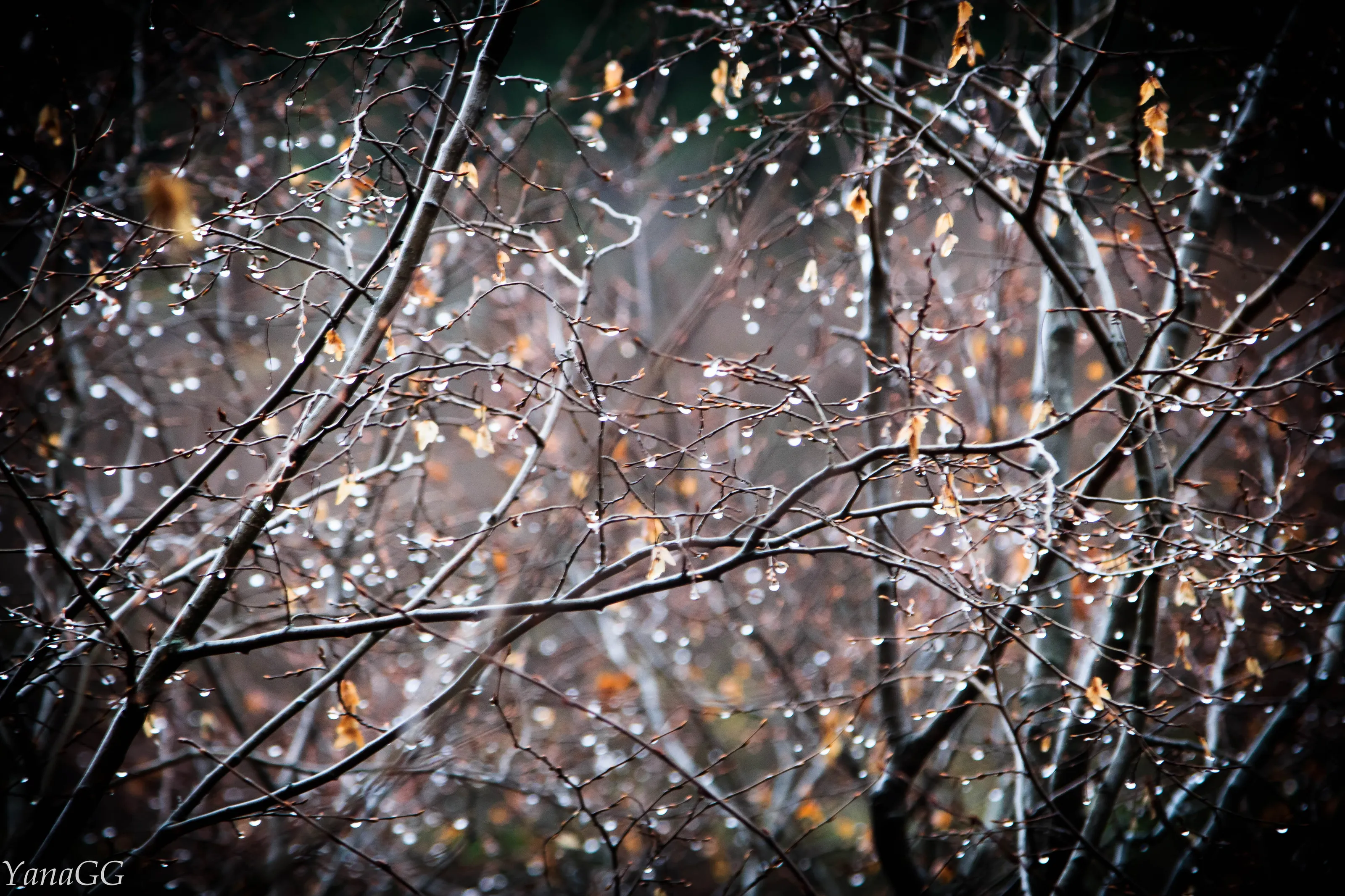 After rain