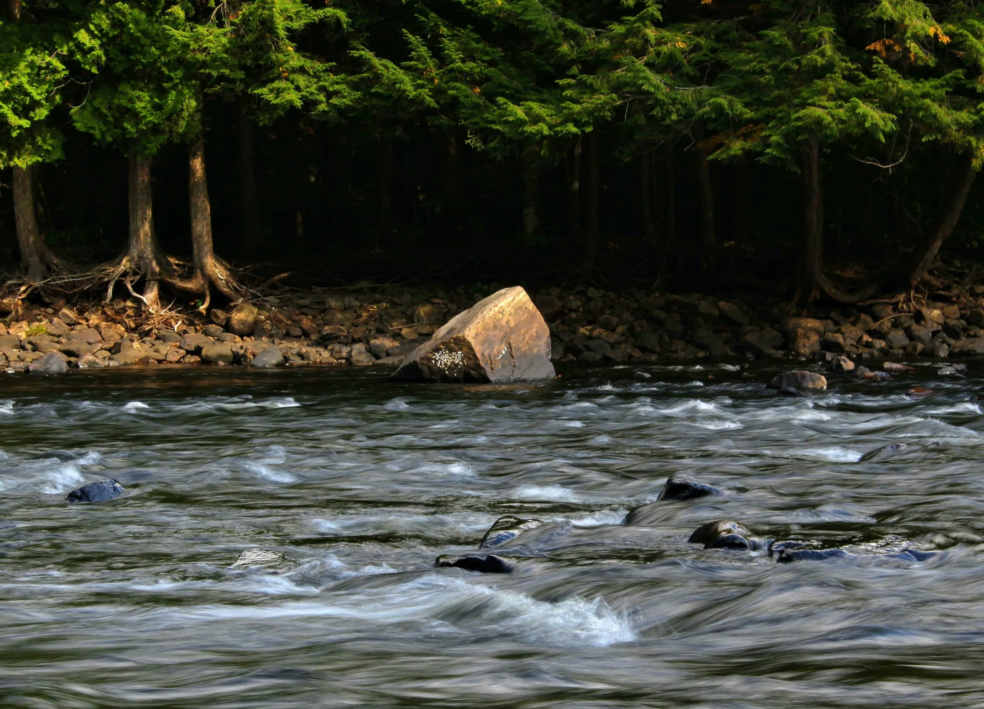 Parc des Chutes Dorwin - Dorwin Falls Park