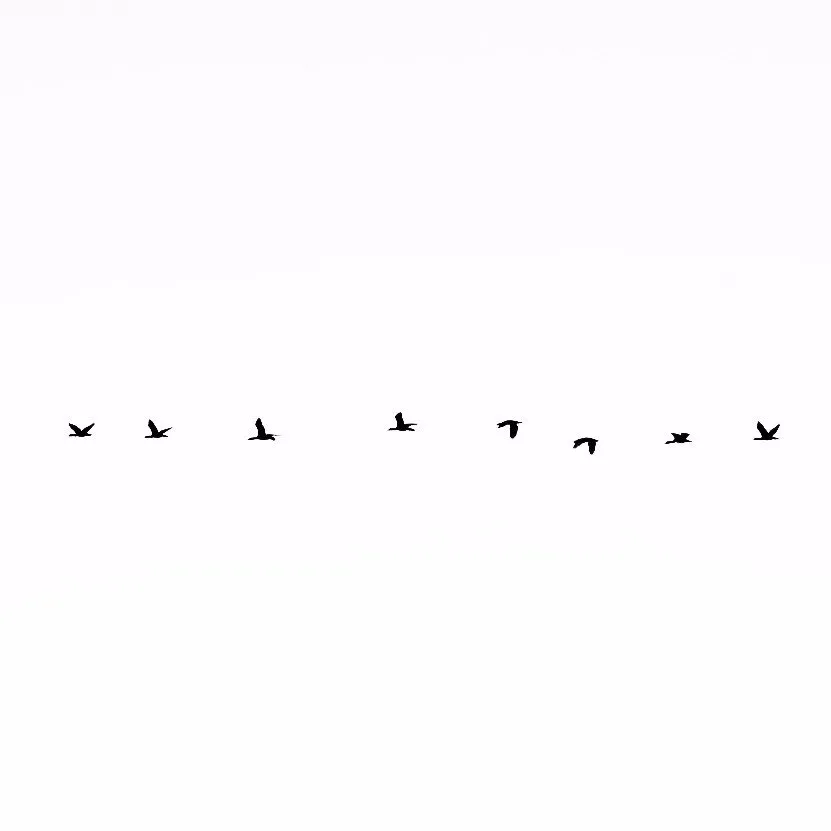 Stop motion