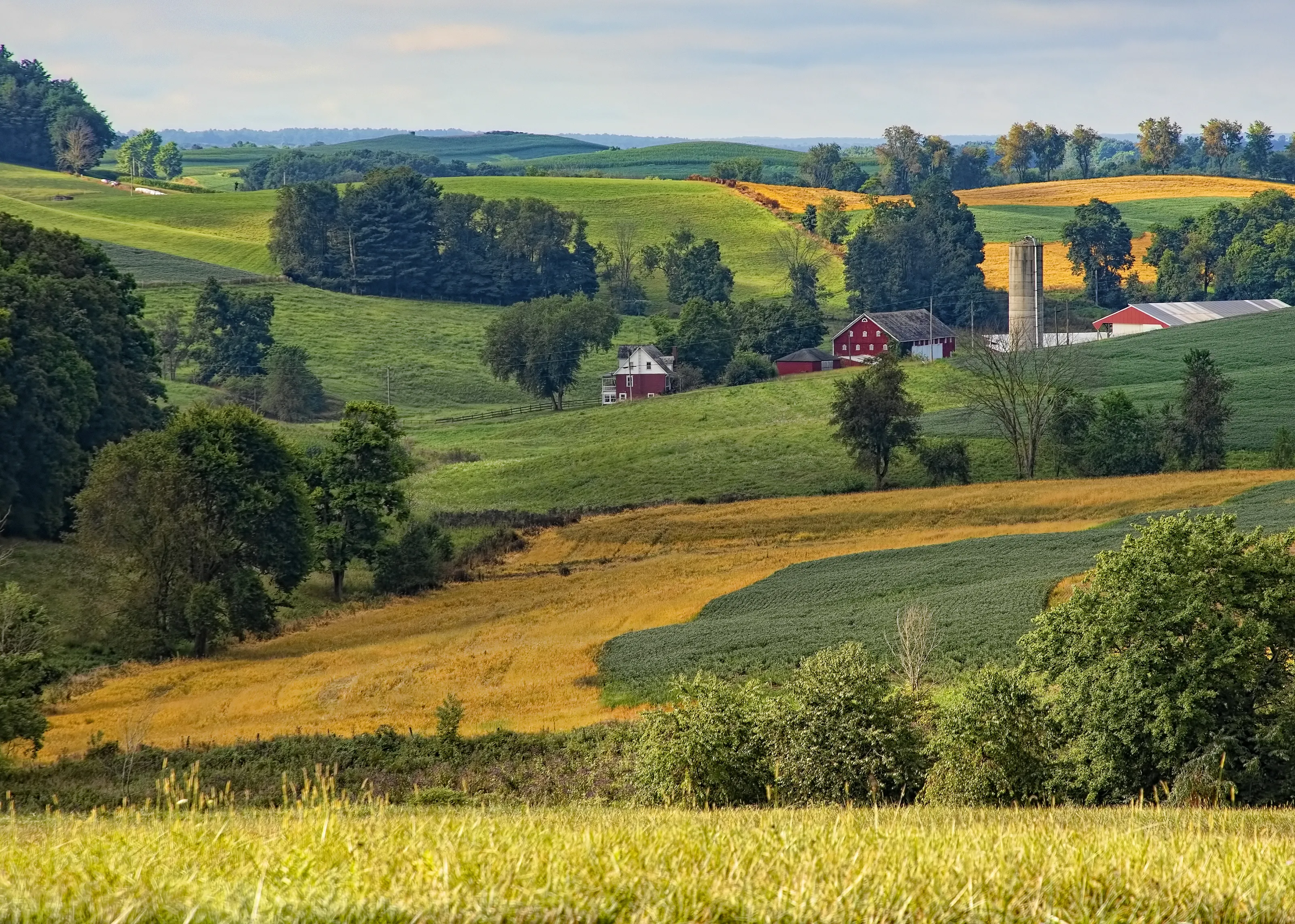 Ohio Farm Landscape