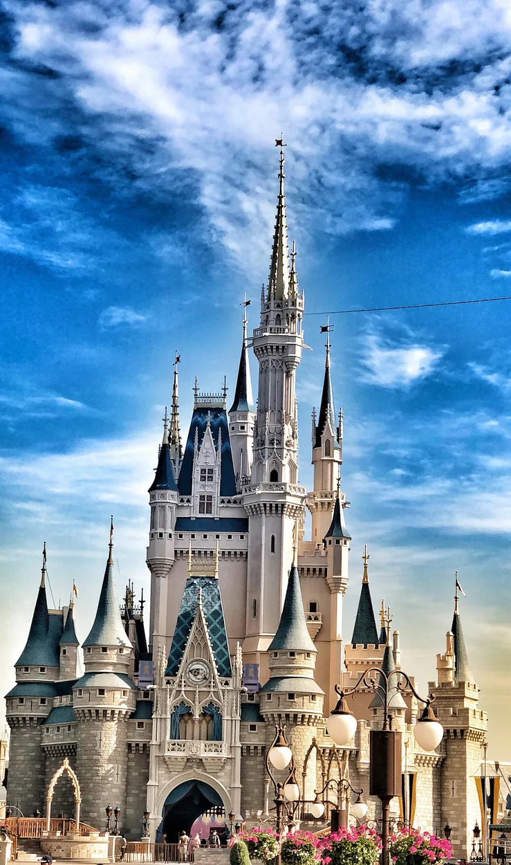 Entry 2733022