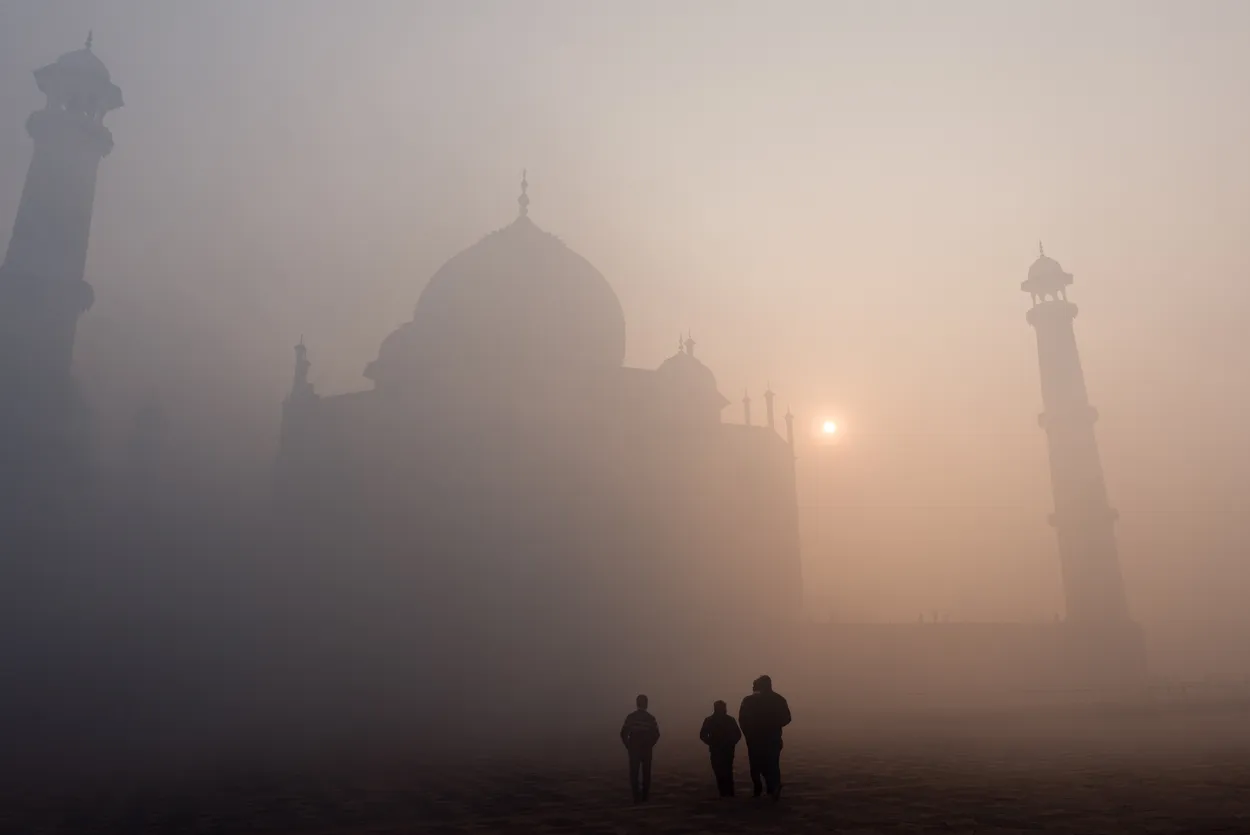Entry 2734510