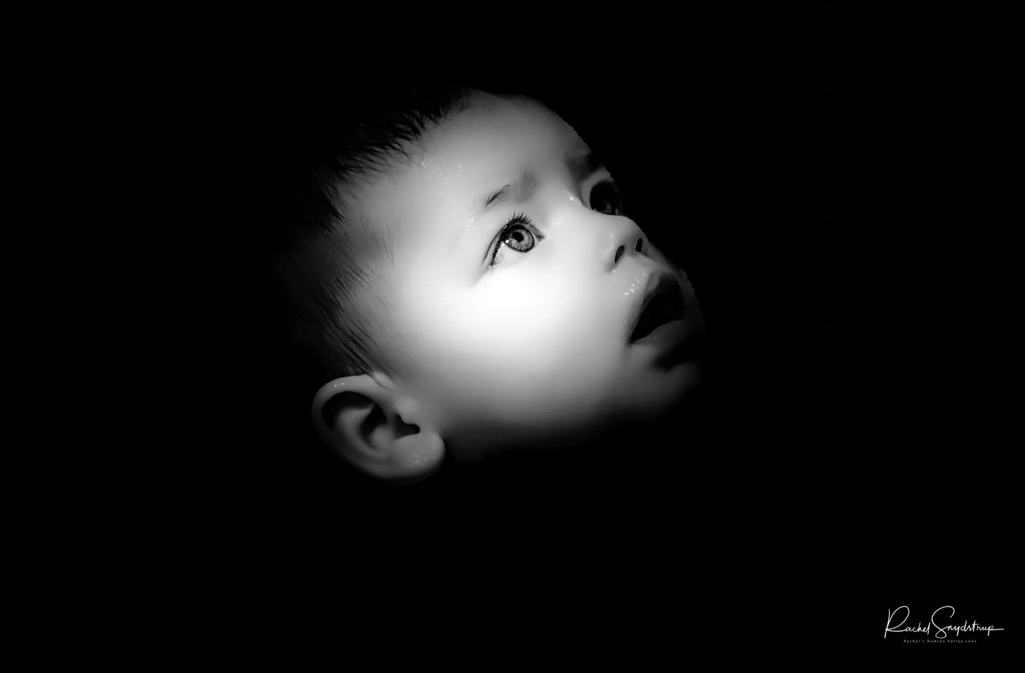 Innocences