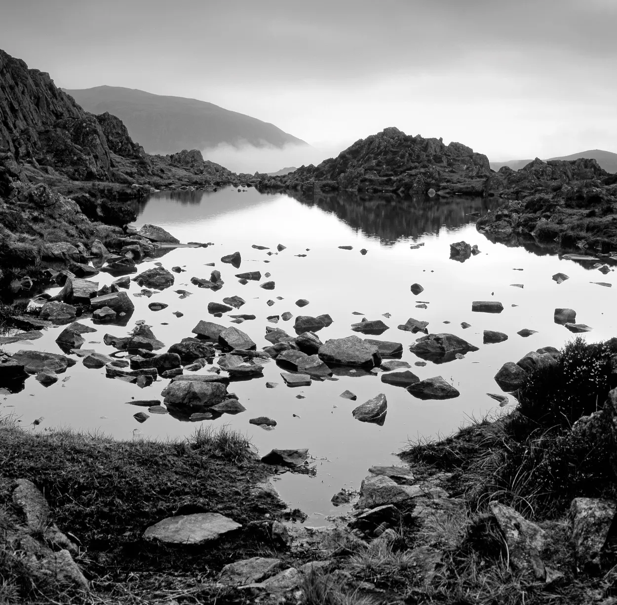 Entry 3685331