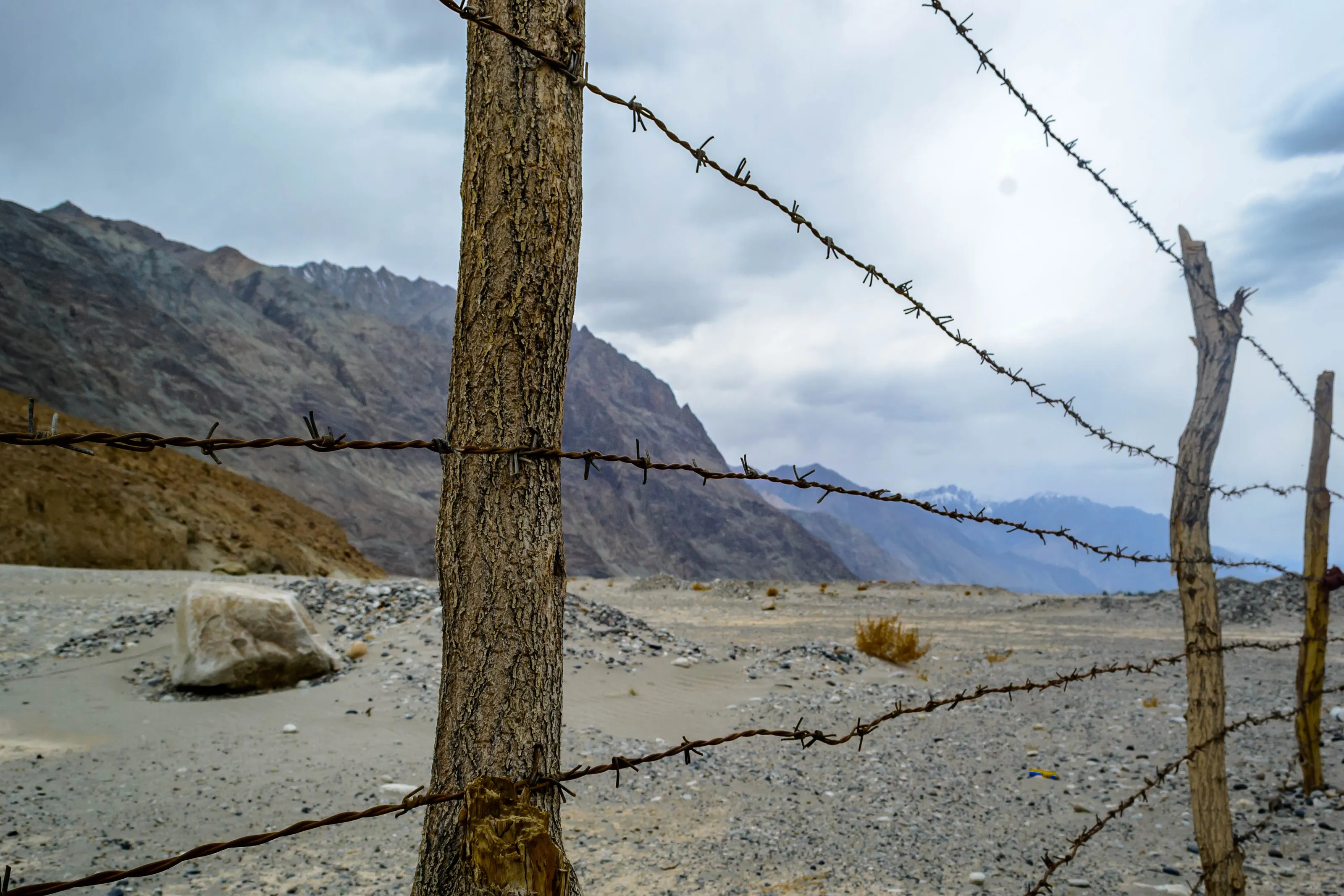 Fence