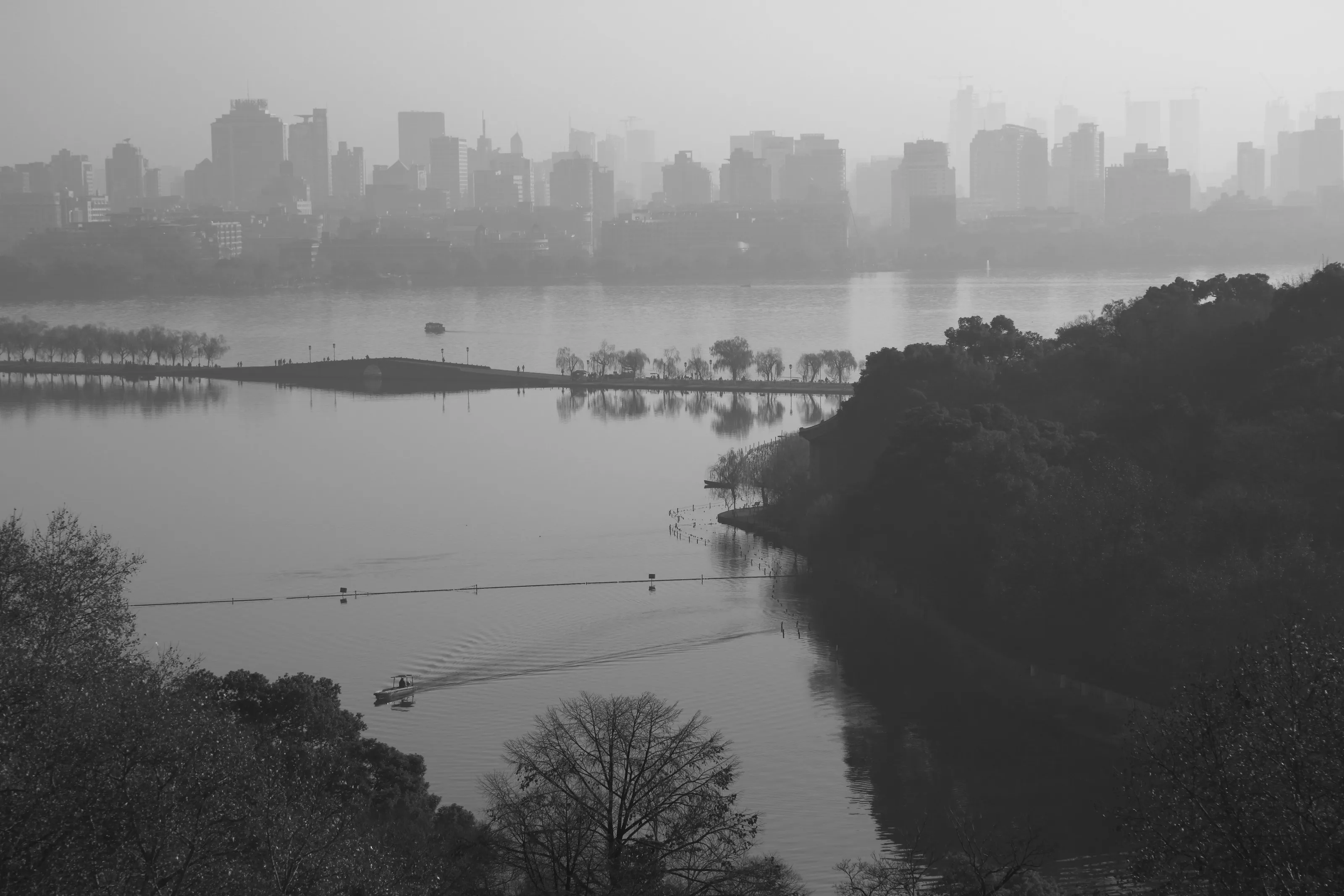 Rise of Skyscrapers