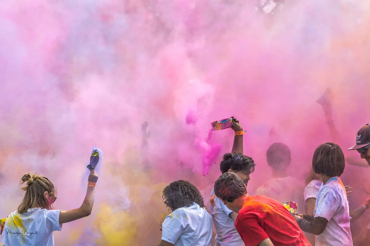 Holi Cow!