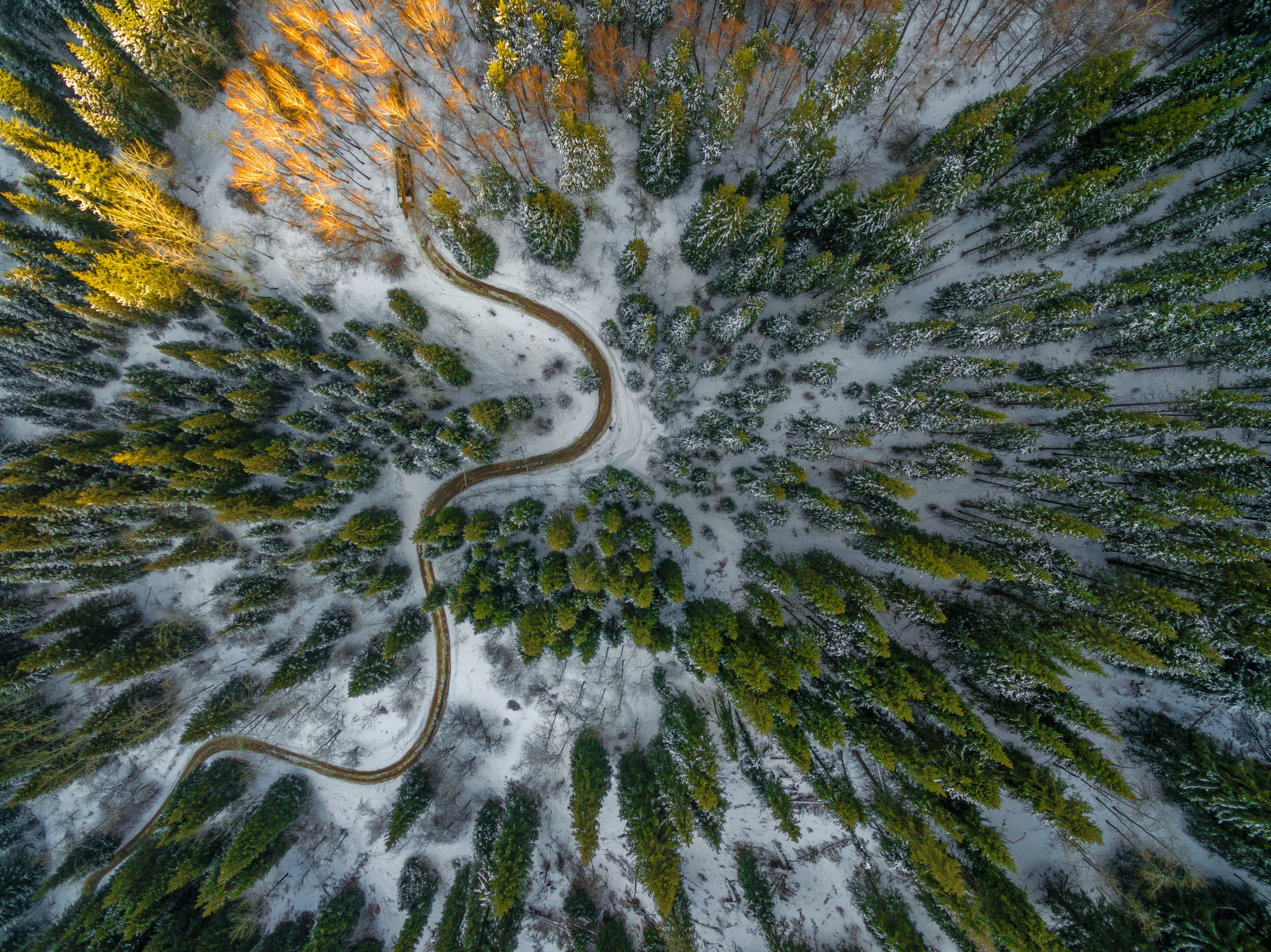 mountain road