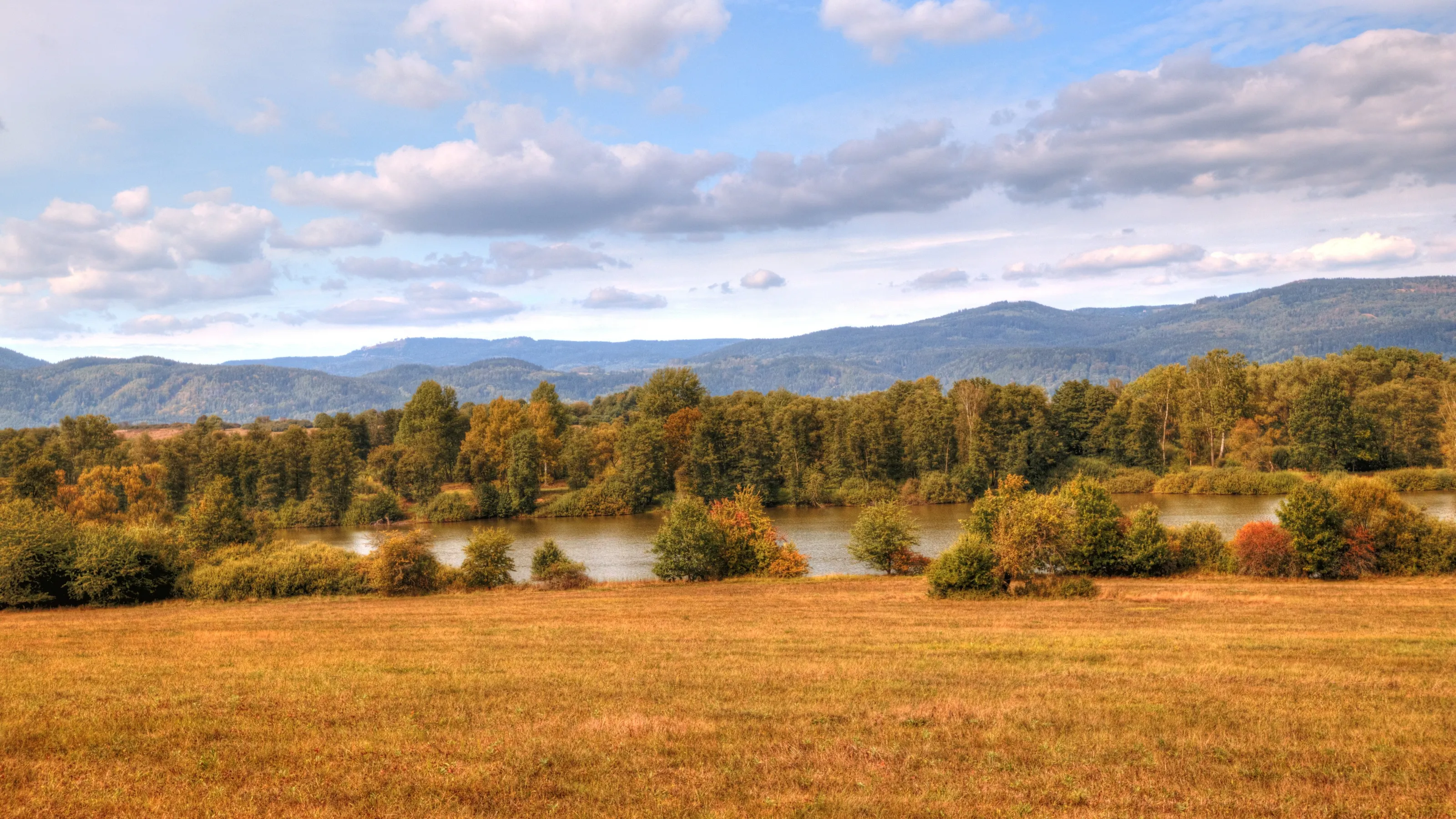 nature reserve Ostrovske rybníky