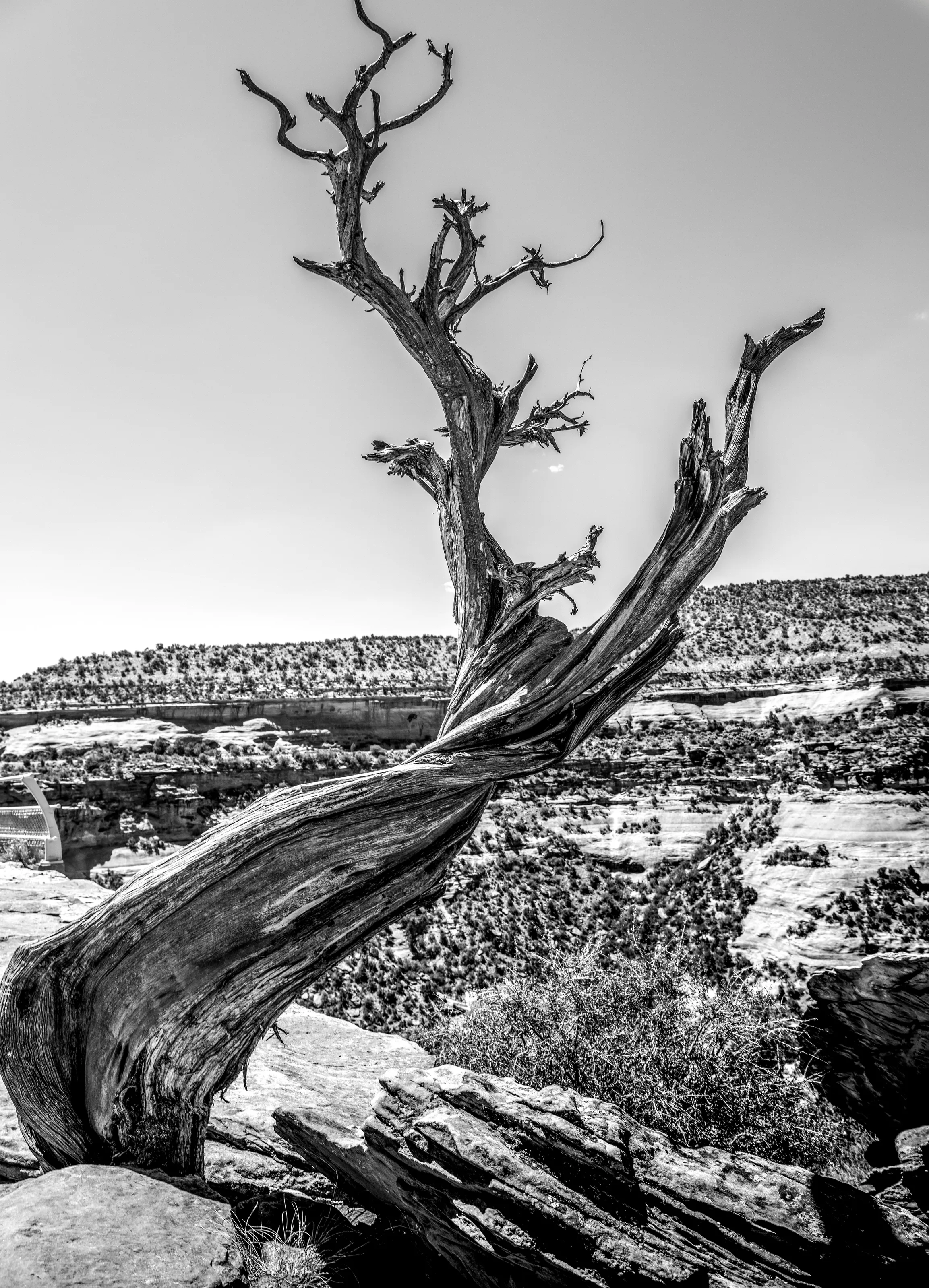 Deserted