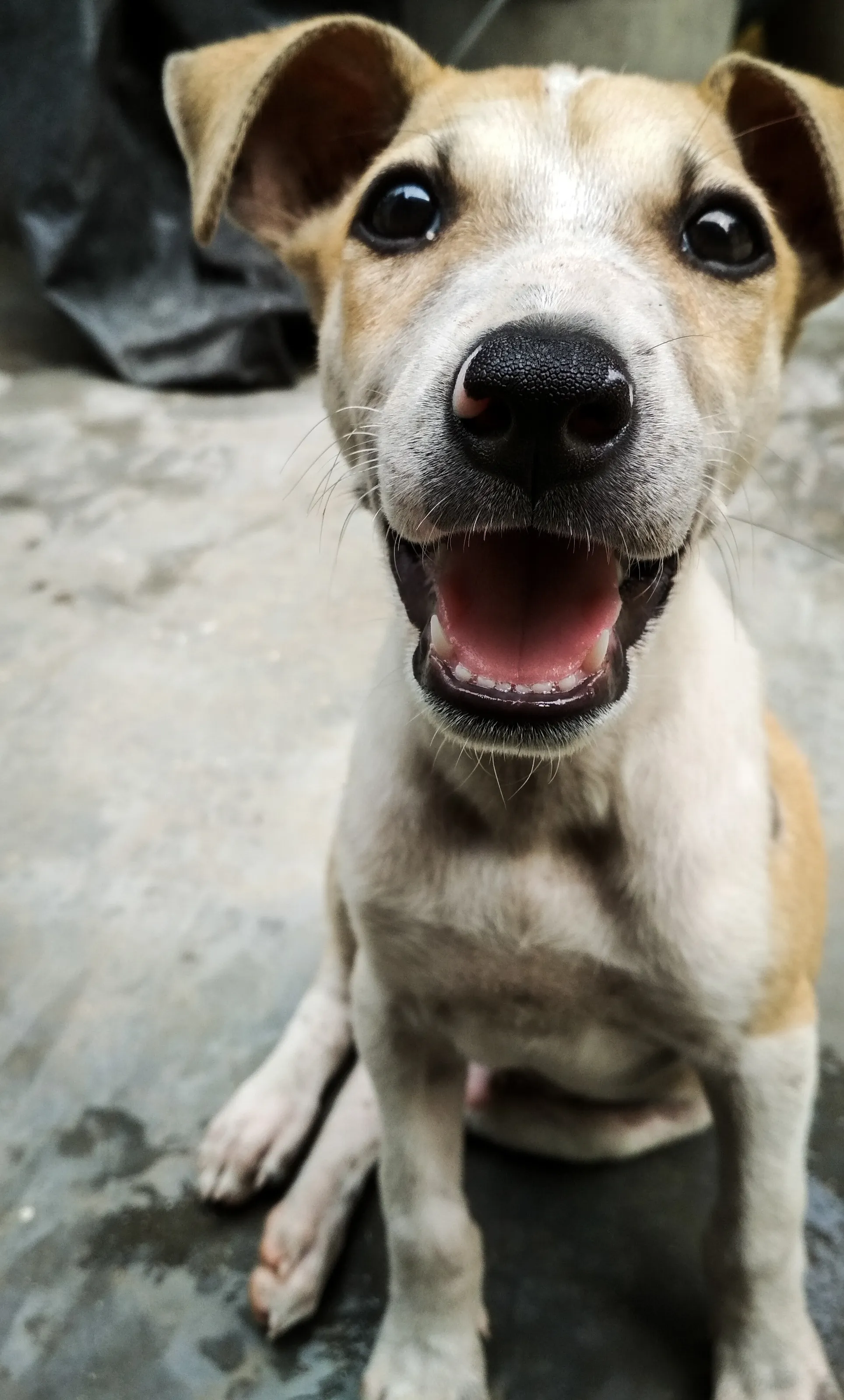 Beautiful Smile