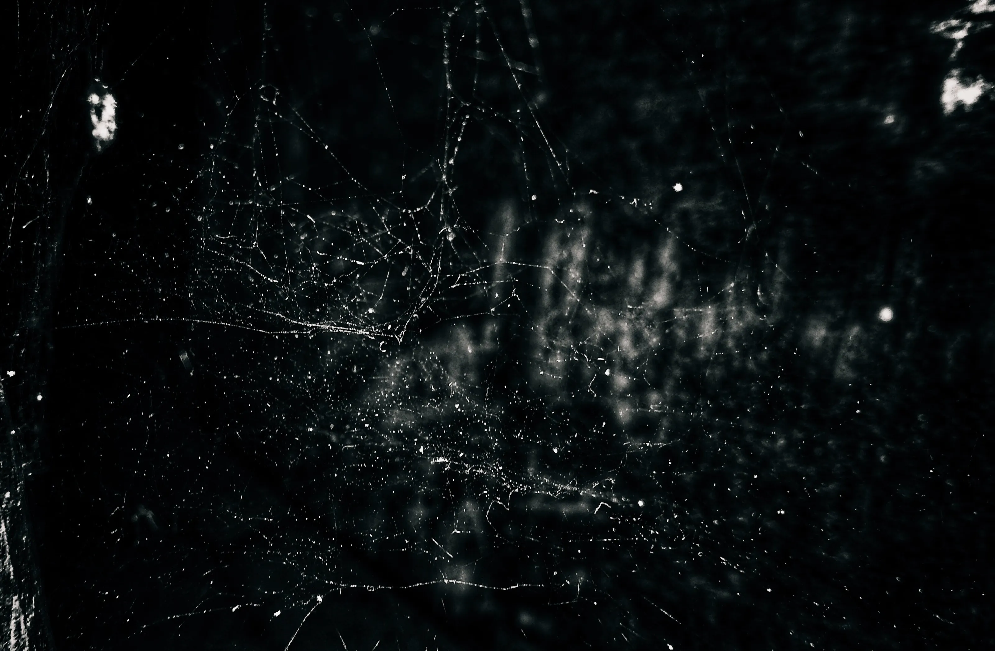 Spider web