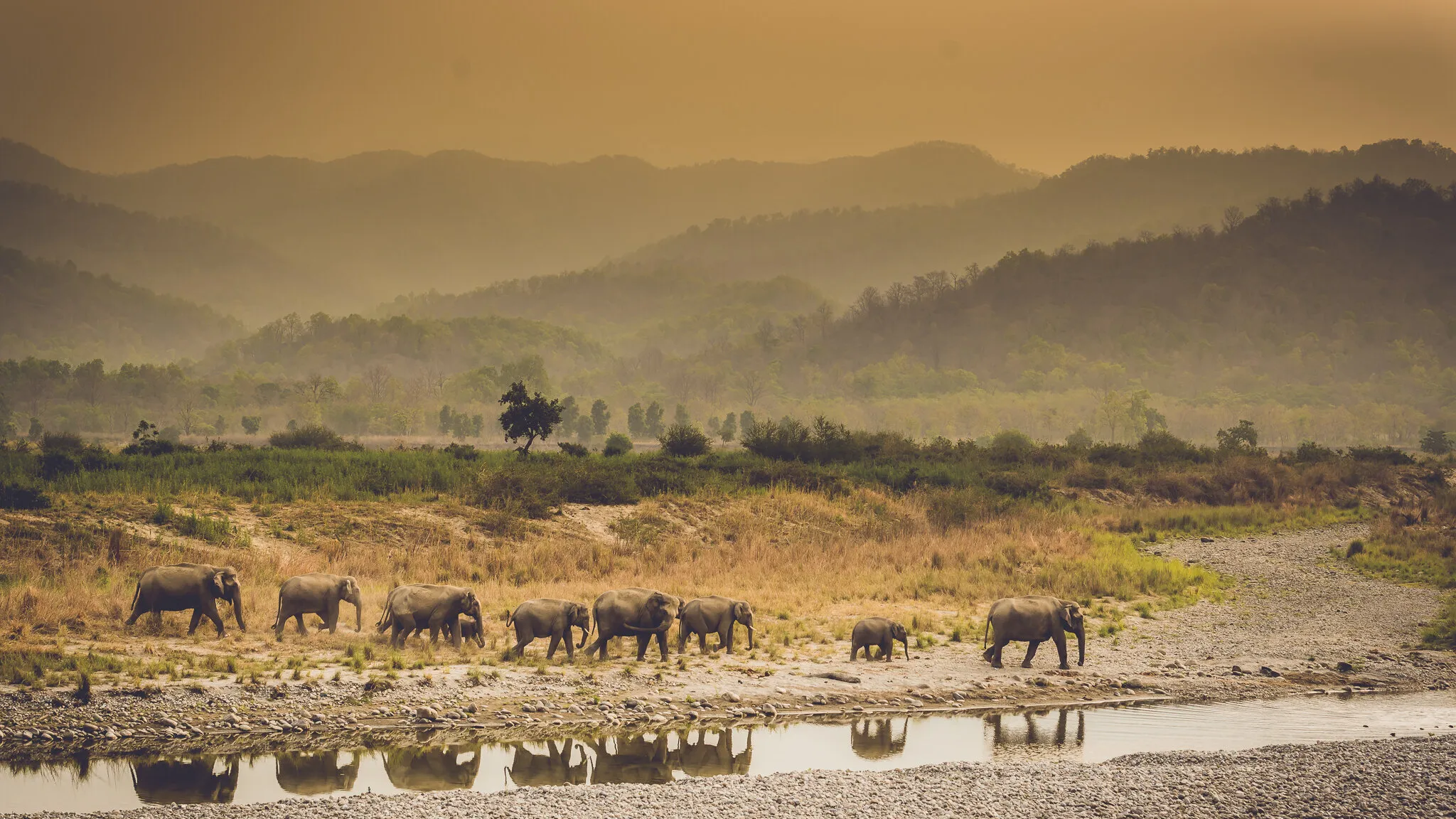 March in a Single File