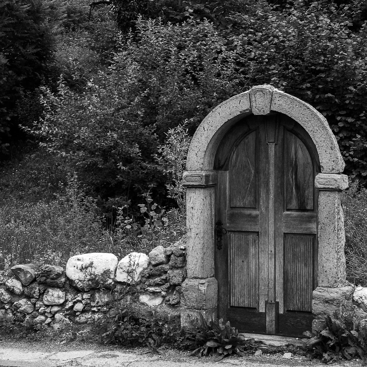 Entry 11104009