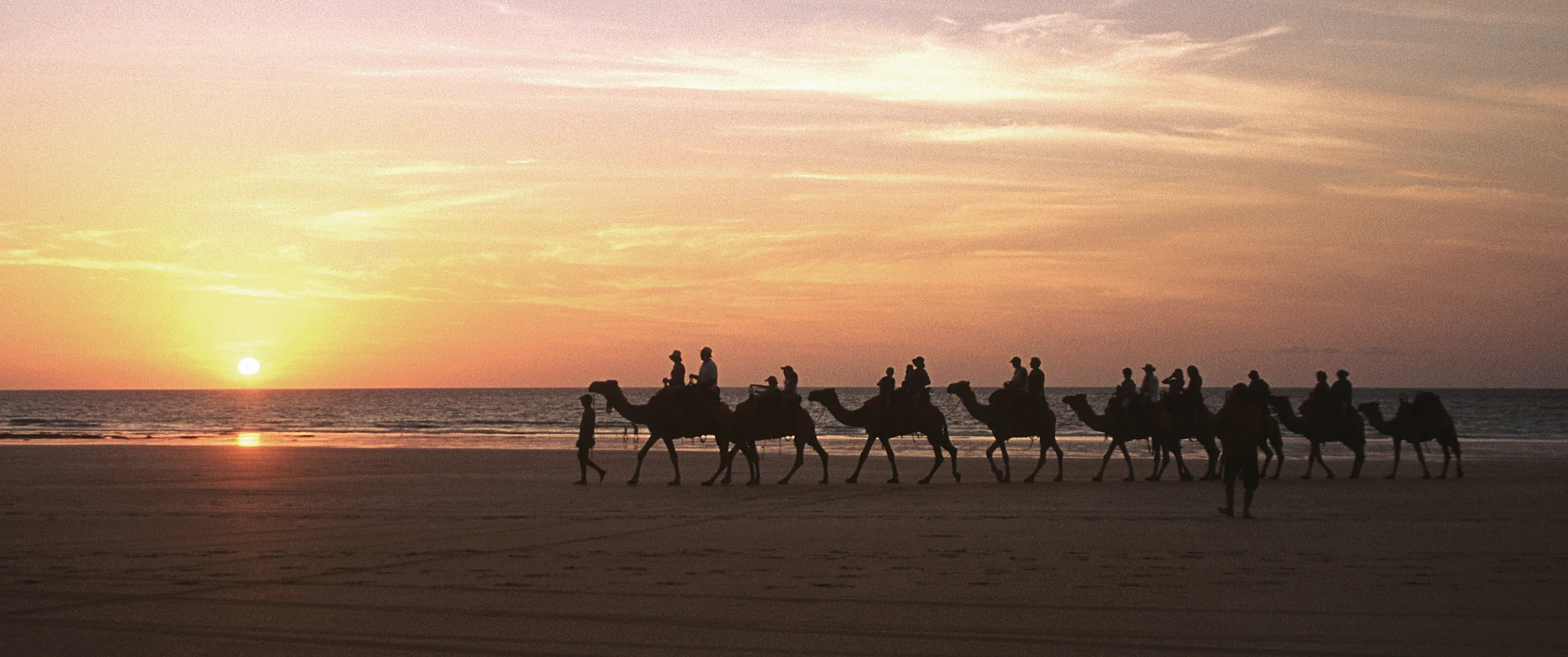 Camel train at Cable Beach, Australia